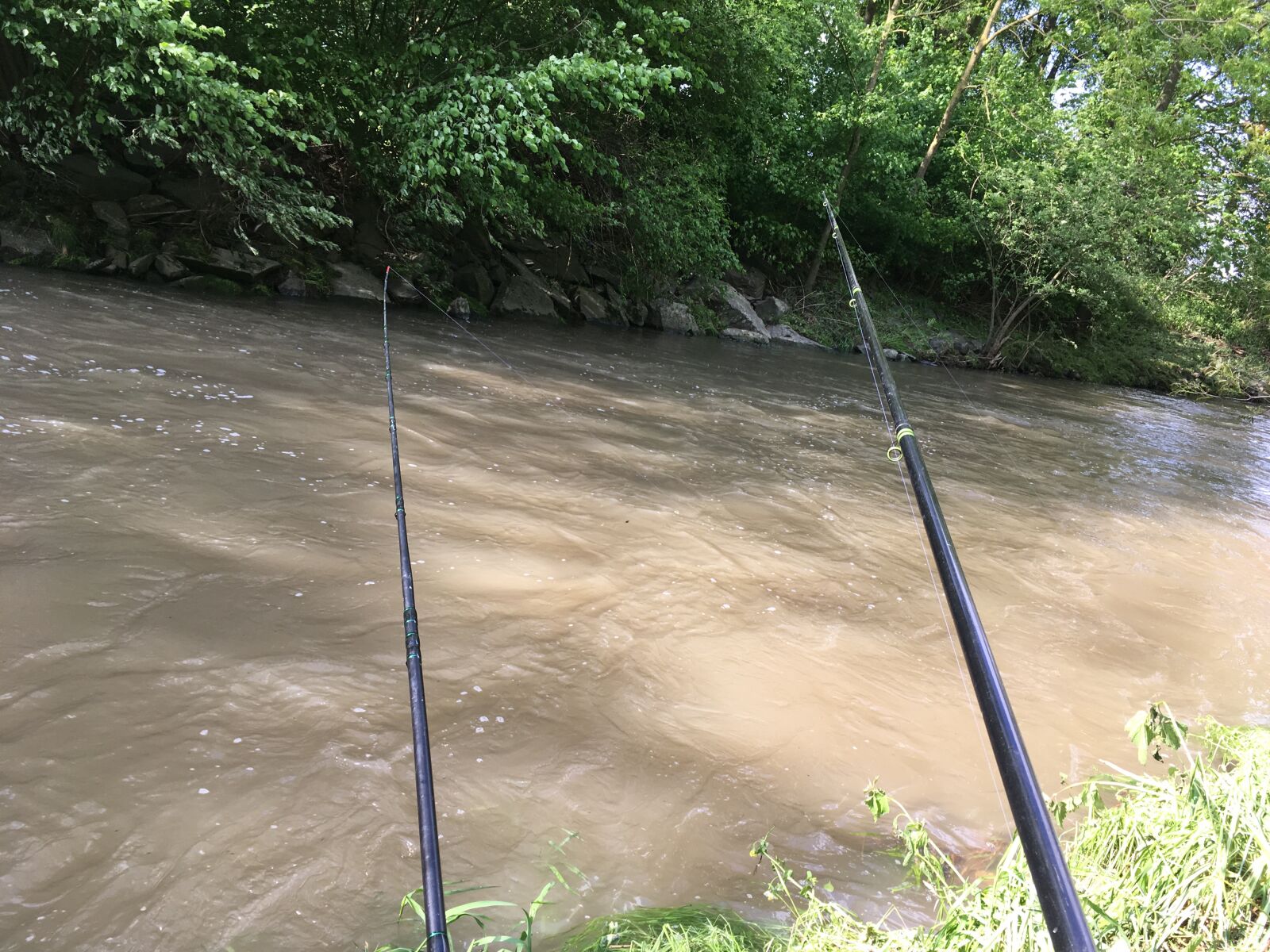 iPhone SE back camera 4.15mm f/2.2 sample photo. River, flood photography
