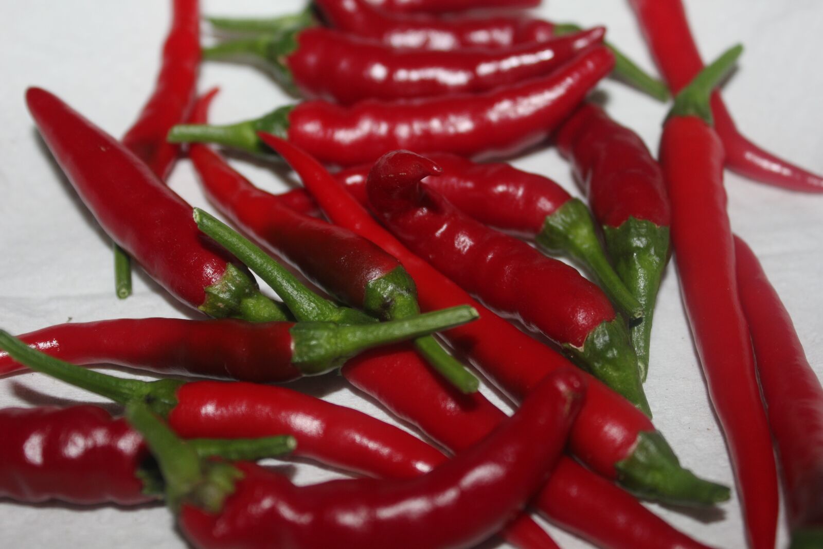 Canon EOS 550D (EOS Rebel T2i / EOS Kiss X4) sample photo. Chilli, peppers, red photography
