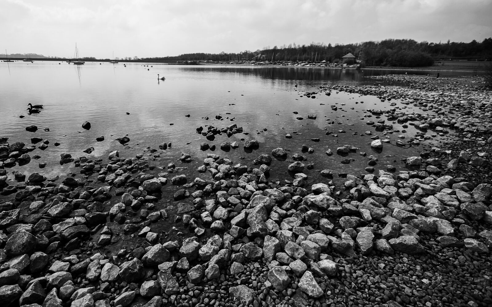 Nikon D3200 sample photo. Water, landscape, carsington photography