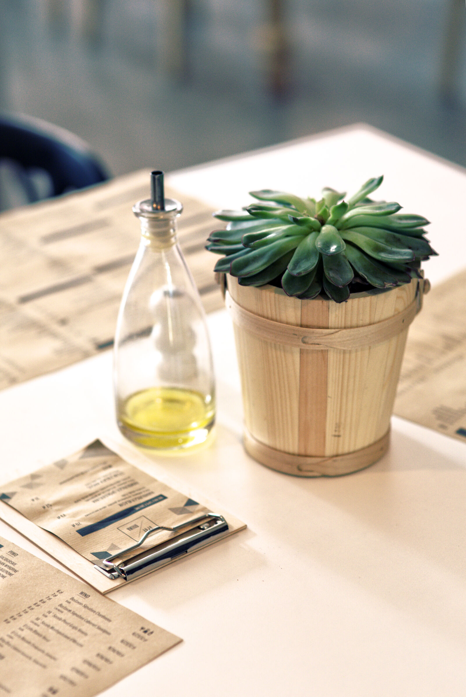 Canon EOS 6D sample photo. Plant, oil, on, the photography