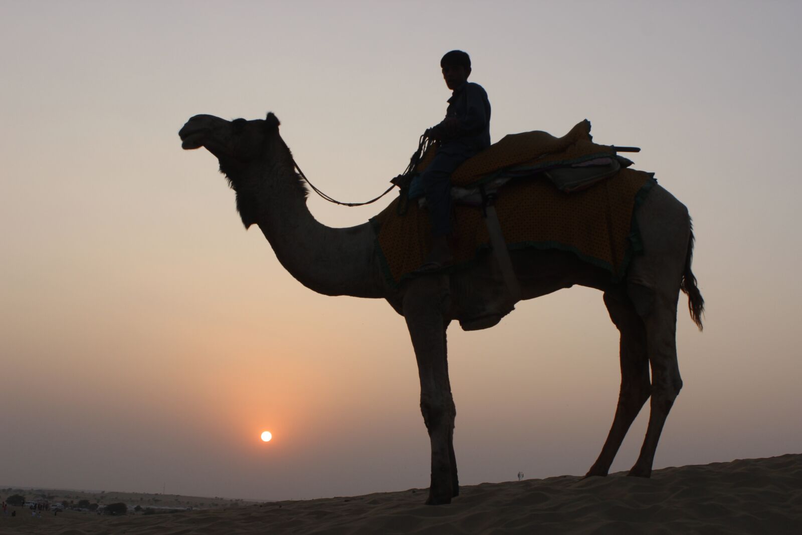 Canon EOS 600D (Rebel EOS T3i / EOS Kiss X5) sample photo. Camel, camel safari, desert photography