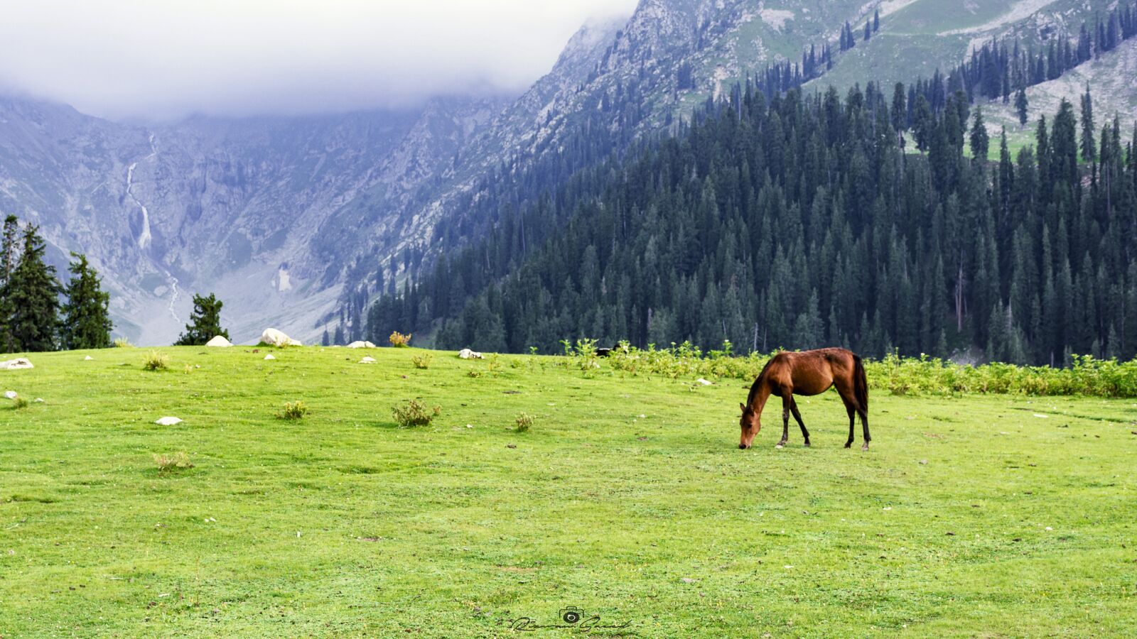 Nikon D7100 sample photo. Jahazbanda, meadows, upperdir photography