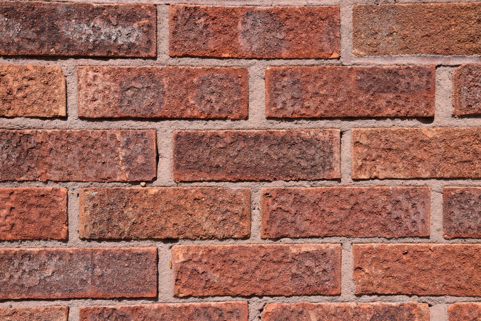 Nikon D3300 sample photo. Bricks, brickwork, wall photography