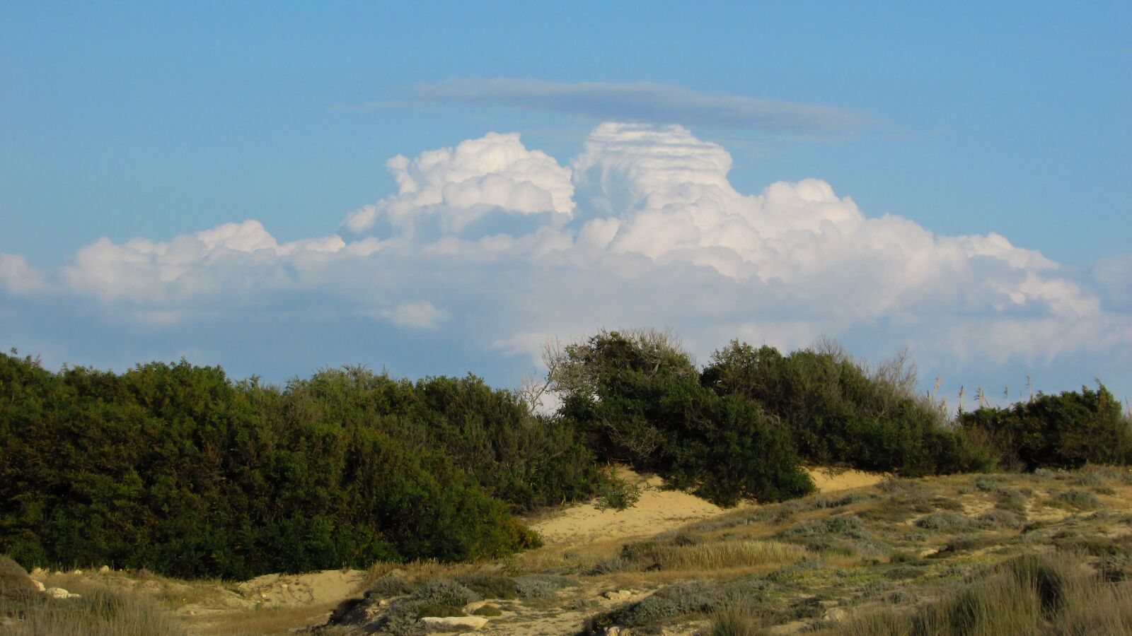 Canon PowerShot SX400 IS sample photo. Vegetation, mediterranean, countryside photography