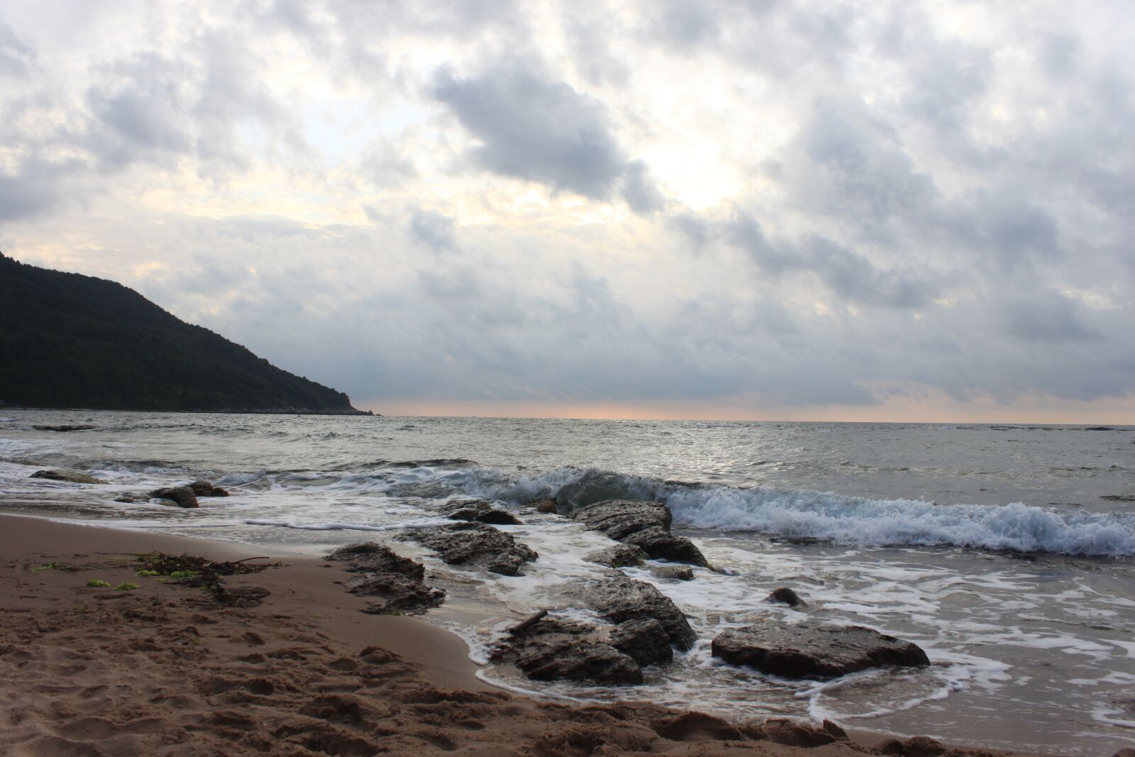Canon EOS 500D (EOS Rebel T1i / EOS Kiss X3) sample photo. Marine, nature, coastal photography