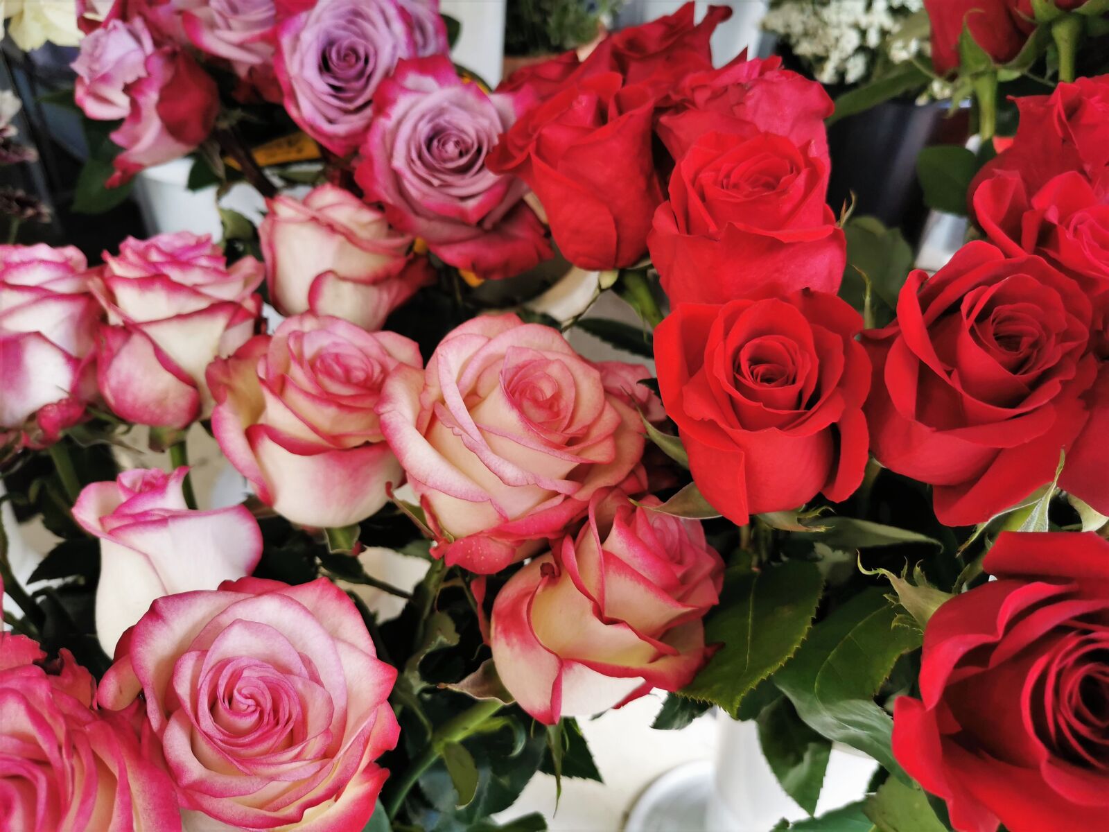 HUAWEI P30 sample photo. Red and white pink photography