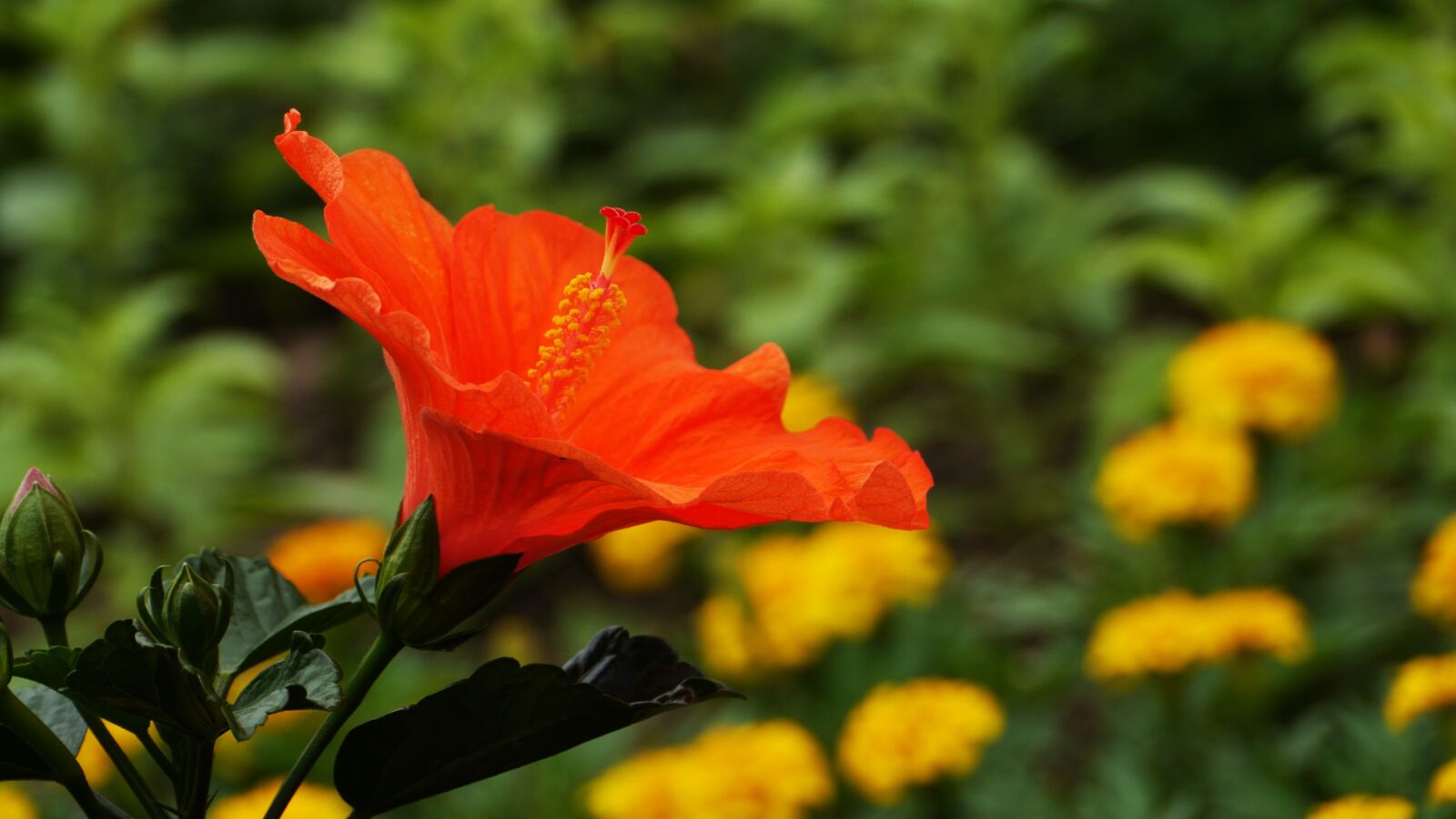 Panasonic Lumix DMC-GH3 sample photo. This type, abstract, landscape photography