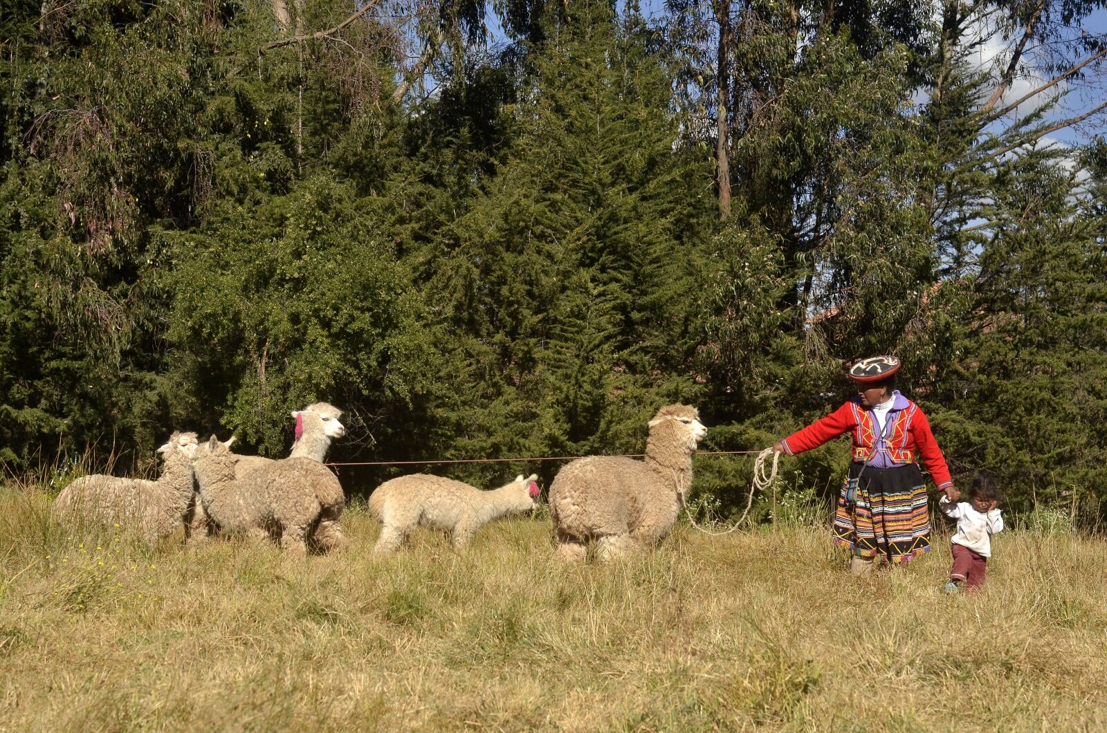 Nikon D7000 sample photo. Peru, travel, tourism photography
