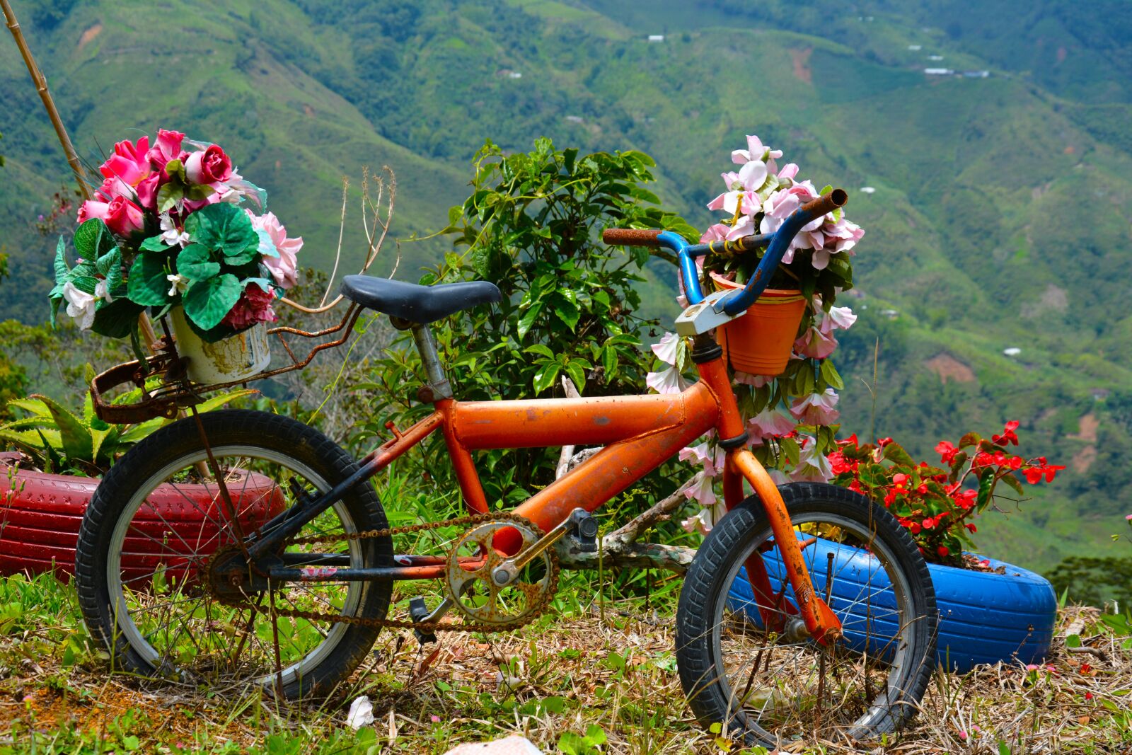 Nikon D7100 sample photo. Bicycle, garden, patio photography