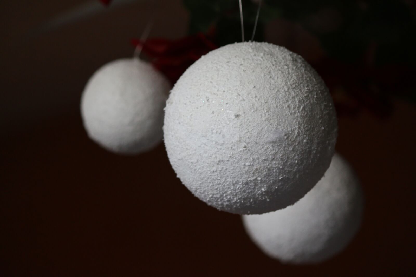Canon EOS 70D sample photo. Bowls, garland, holidays photography