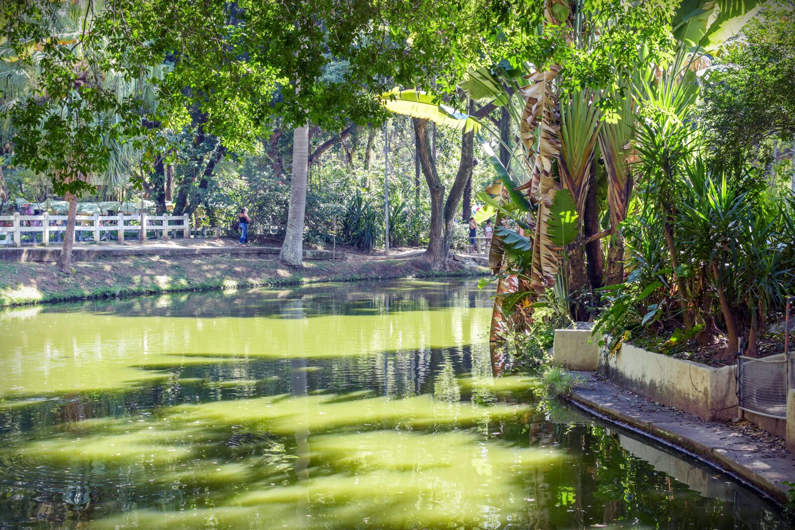 Nikon D5300 sample photo. Park, lake, landscape photography