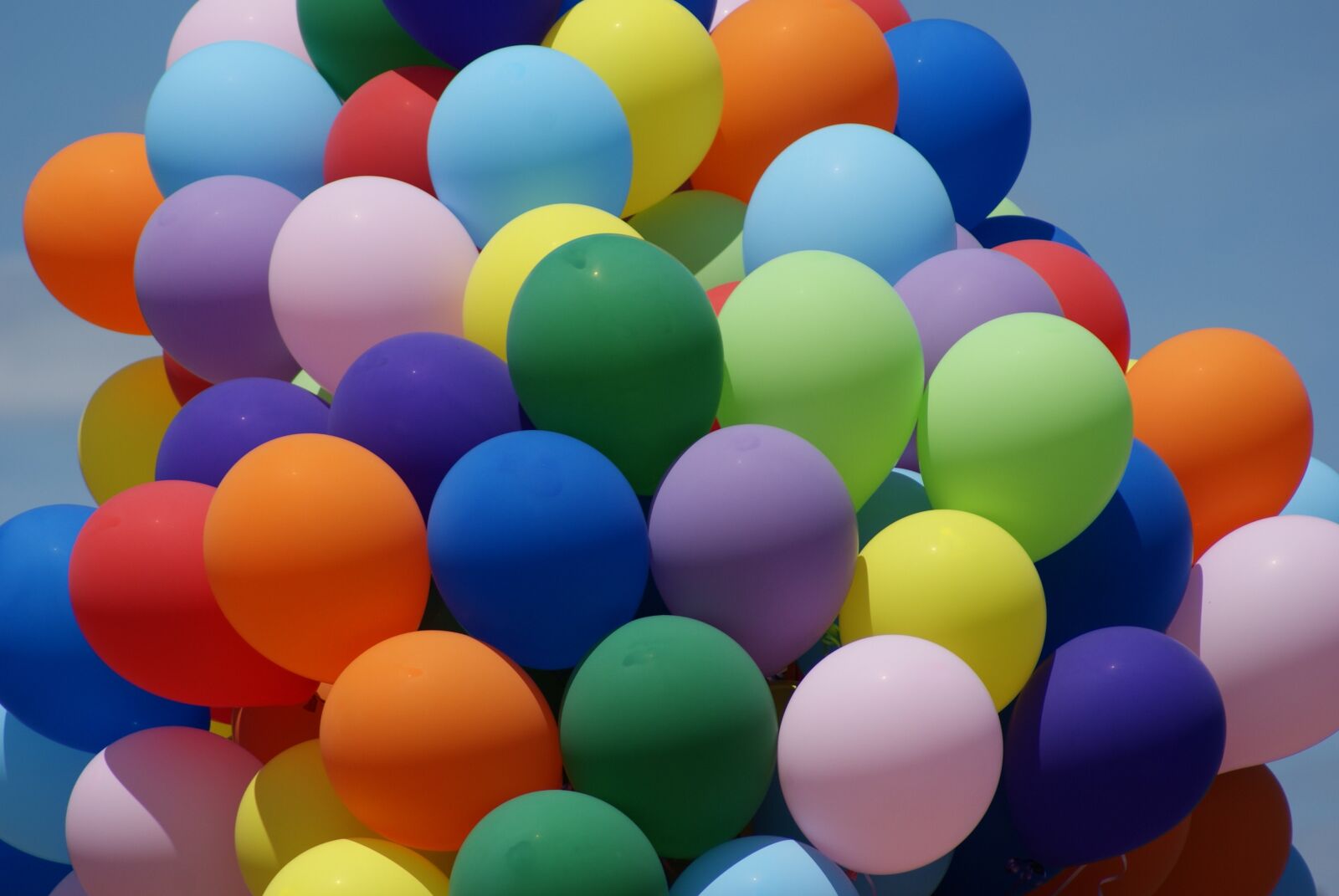 Sony Alpha DSLR-A300 sample photo. Balloons, color, summer photography