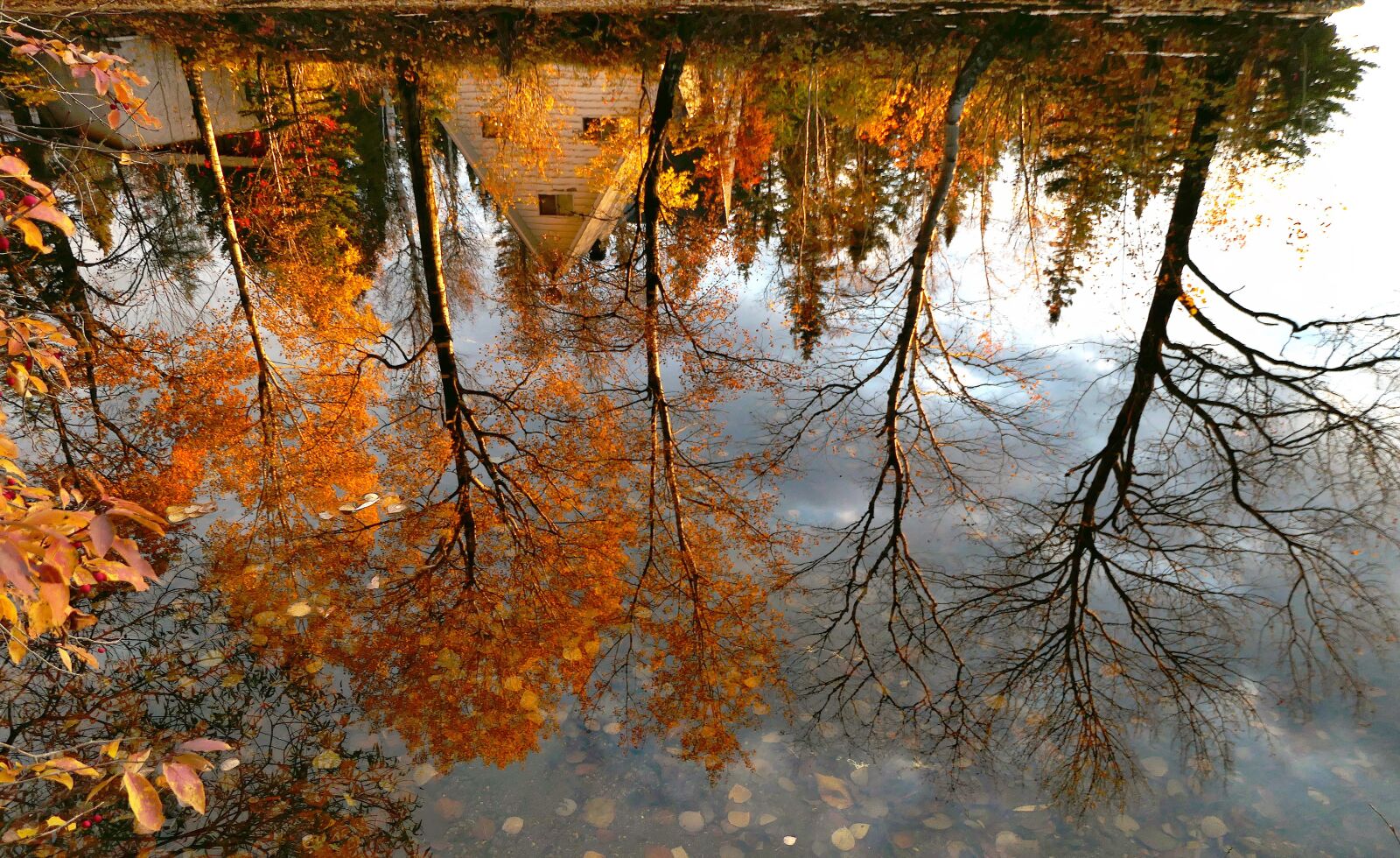 Panasonic DC-ZS200 sample photo. Reflections, landscape, nature photography