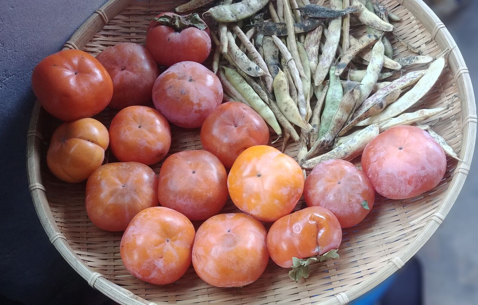 LG G6 sample photo. Persimmon, bean, autumn photography