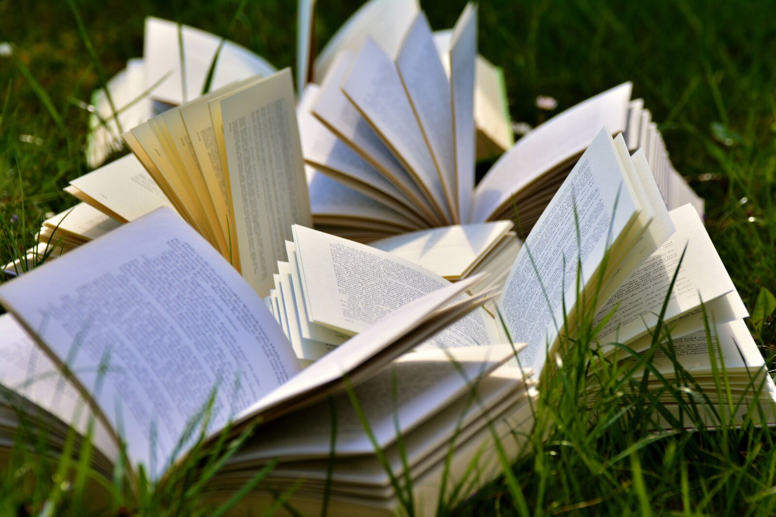 Nikon D5200 sample photo. Books, book pages, pitched photography
