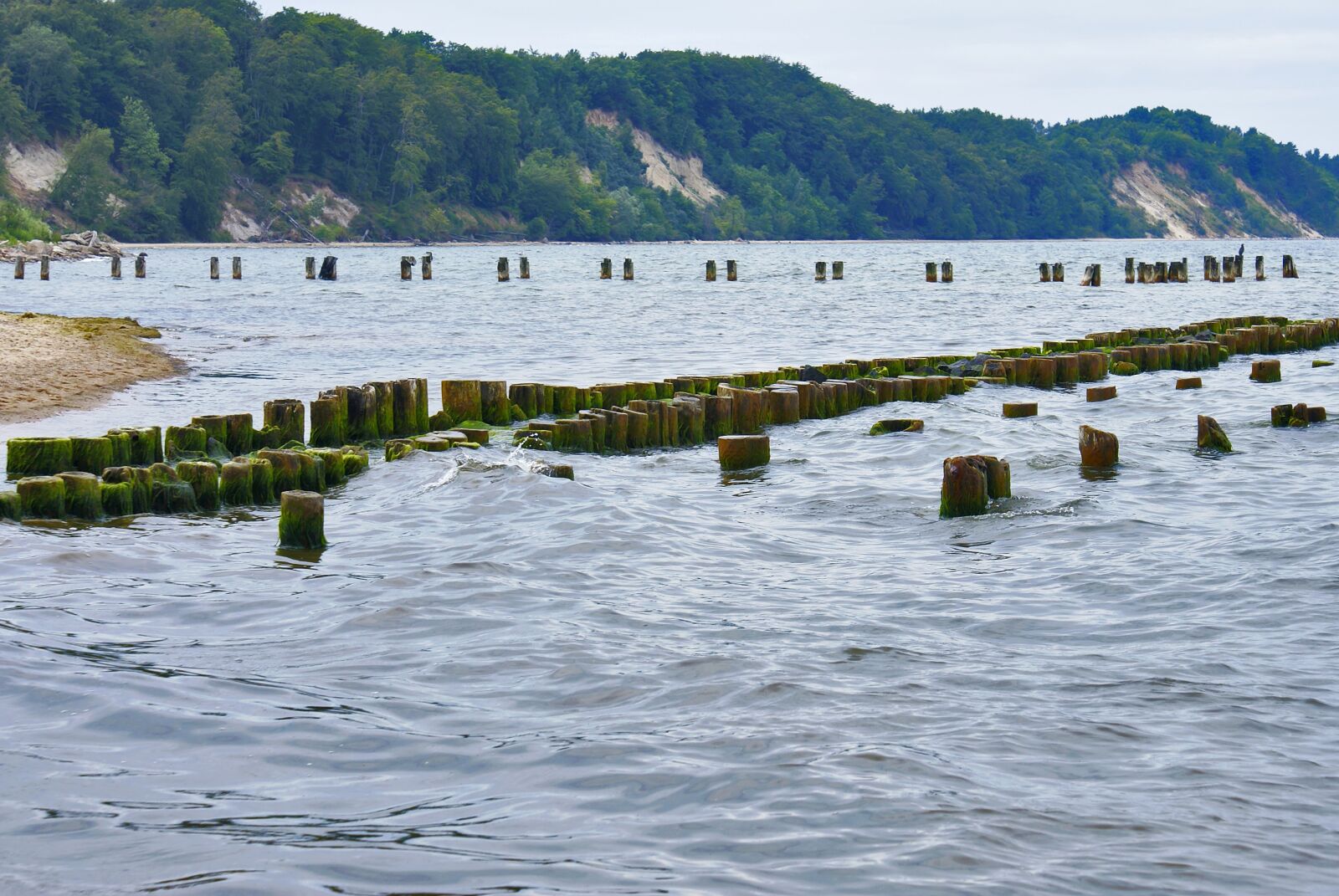 Sony Alpha DSLR-A100 sample photo. Sea, beach, the coast photography