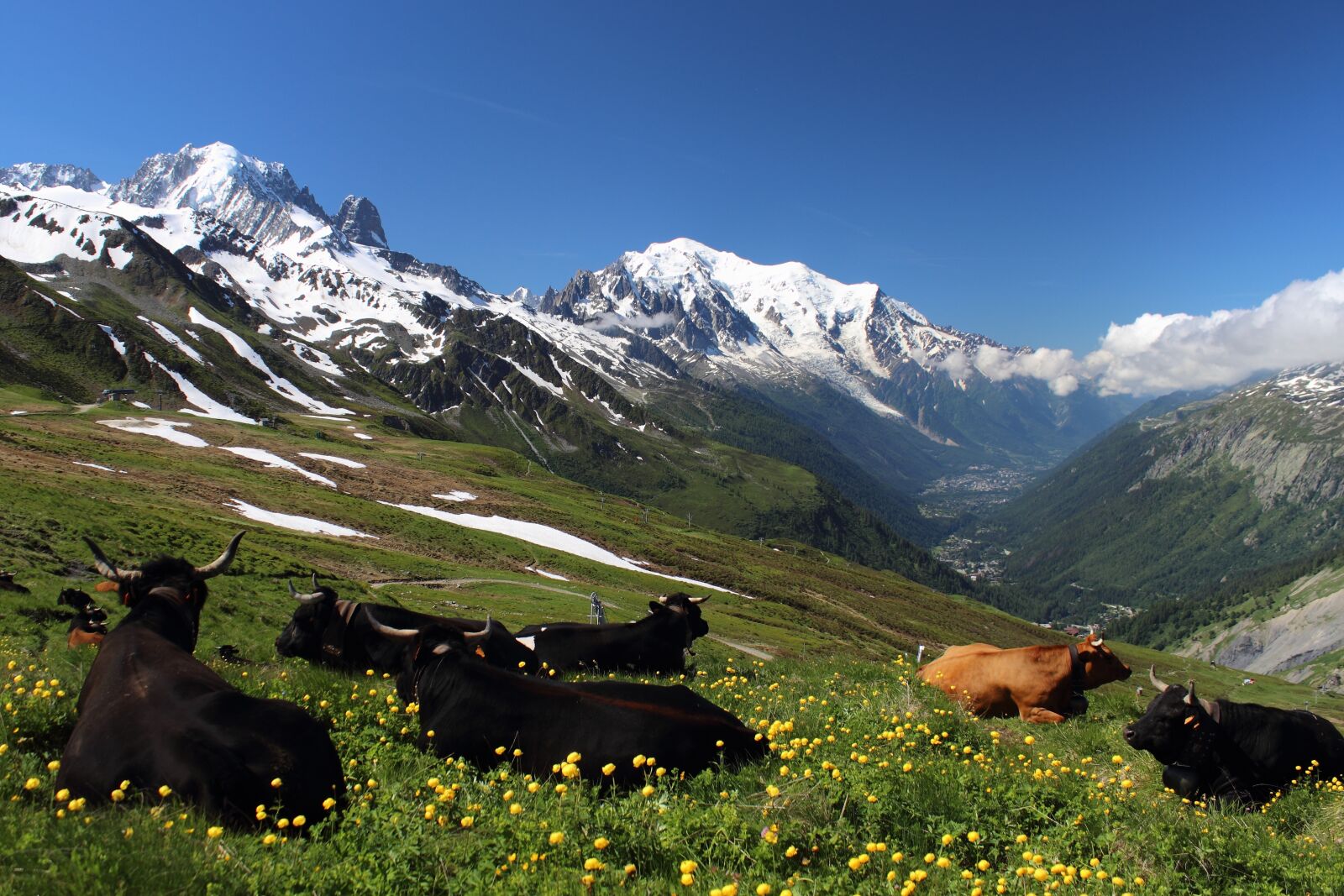 Canon EOS 600D (Rebel EOS T3i / EOS Kiss X5) sample photo. Mont blanc, tour mont photography