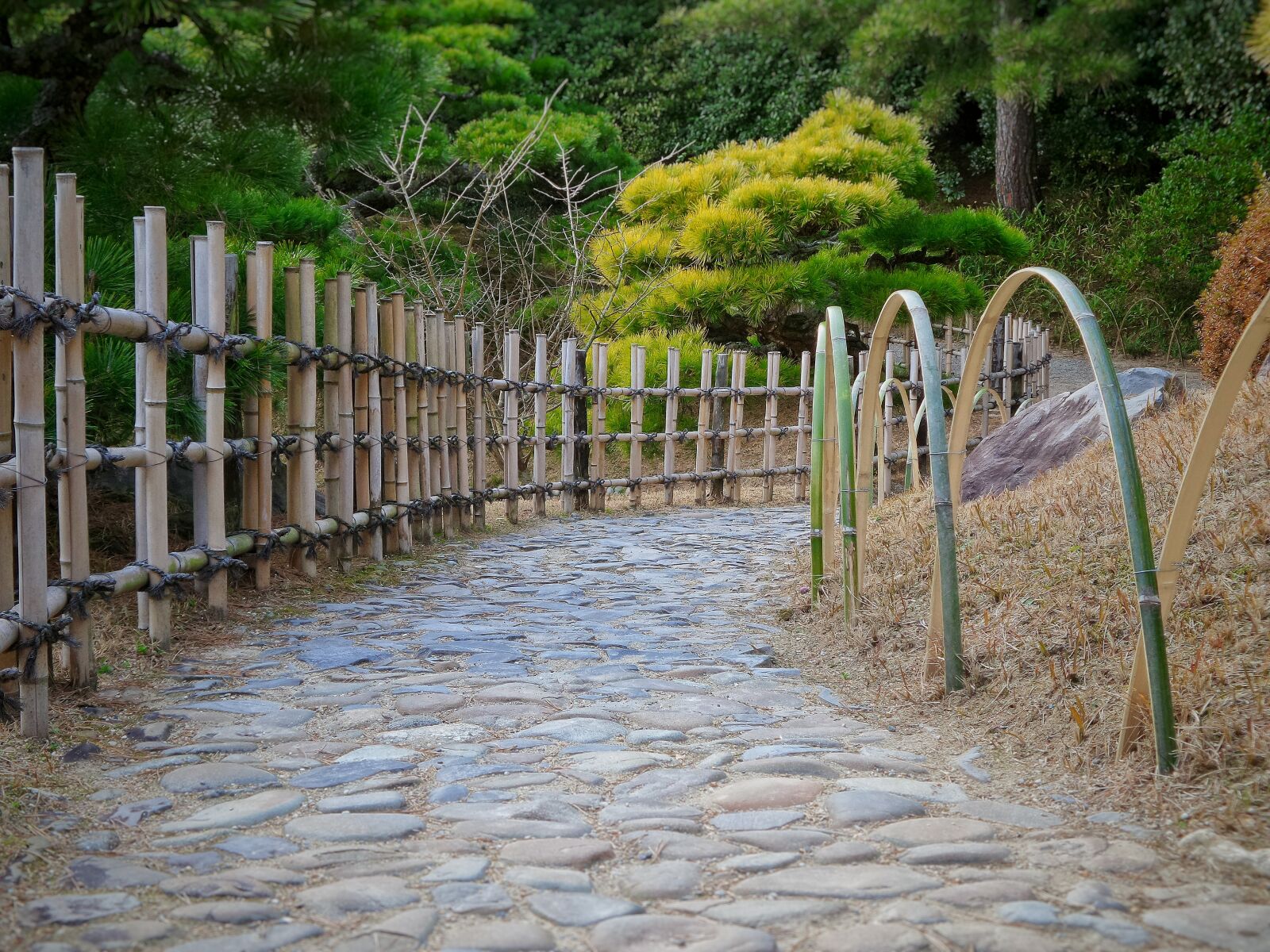 Samsung Galaxy K Zoom sample photo. Japanese, garden, path photography