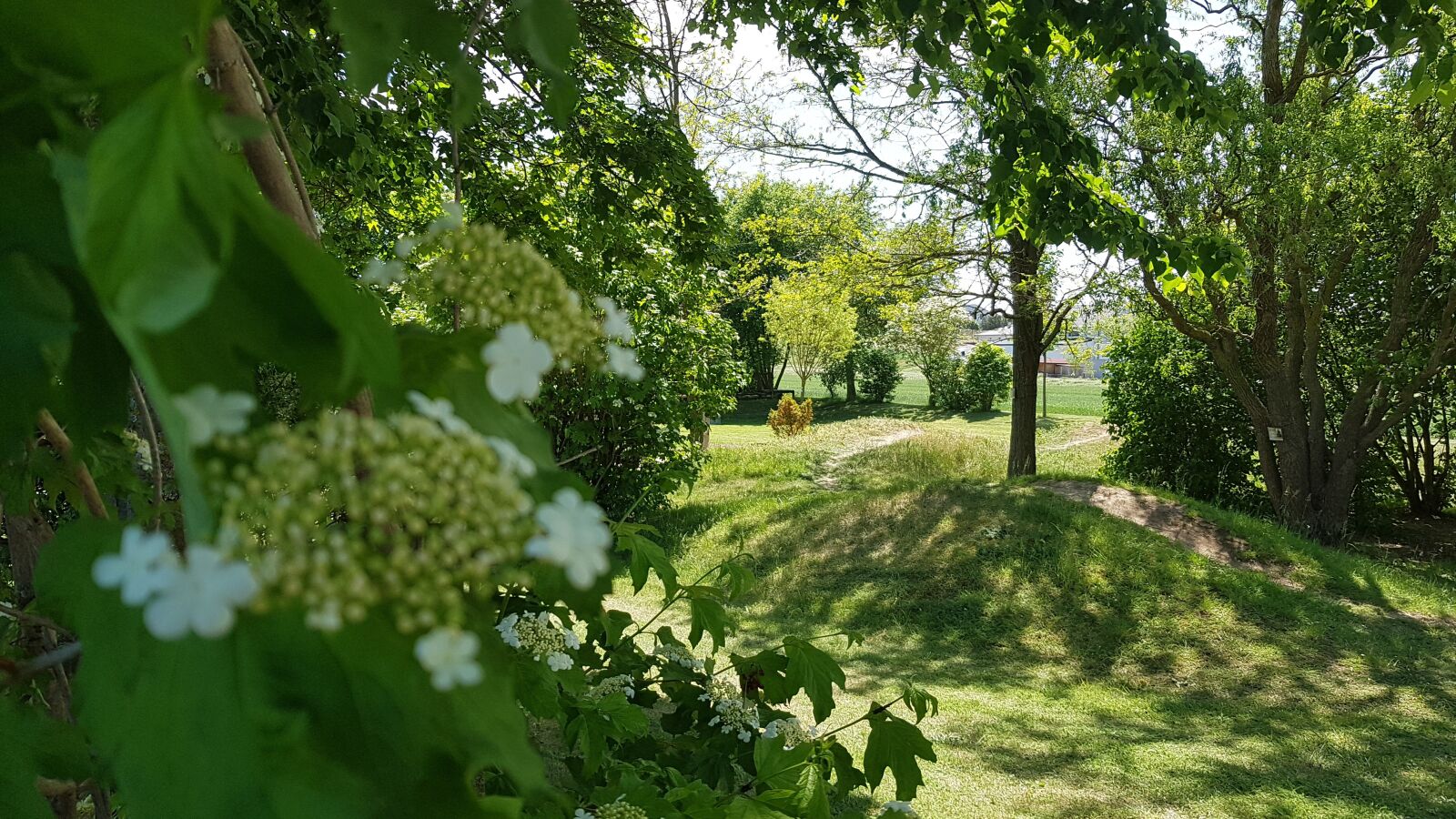 Samsung Galaxy S7 sample photo. Spring, flowers, playground photography