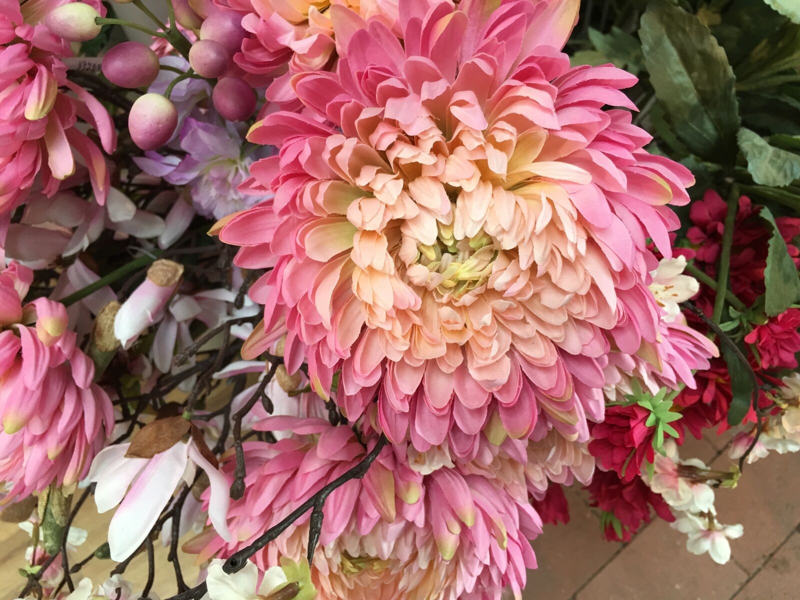 Apple iPhone 6s Plus sample photo. Pink, flower, spring photography