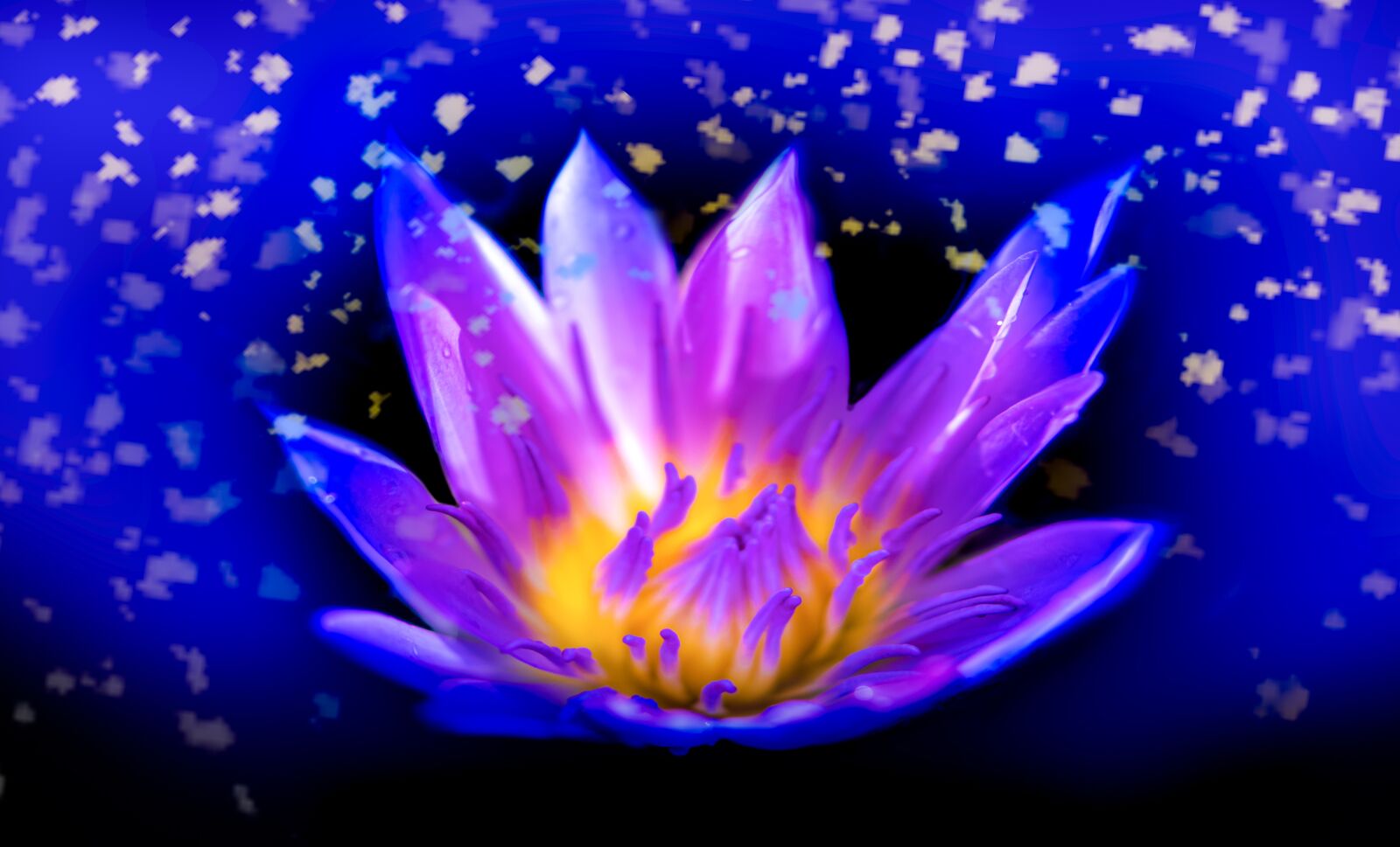 Nikon D5600 sample photo. Water lilia, fantasy, flower photography