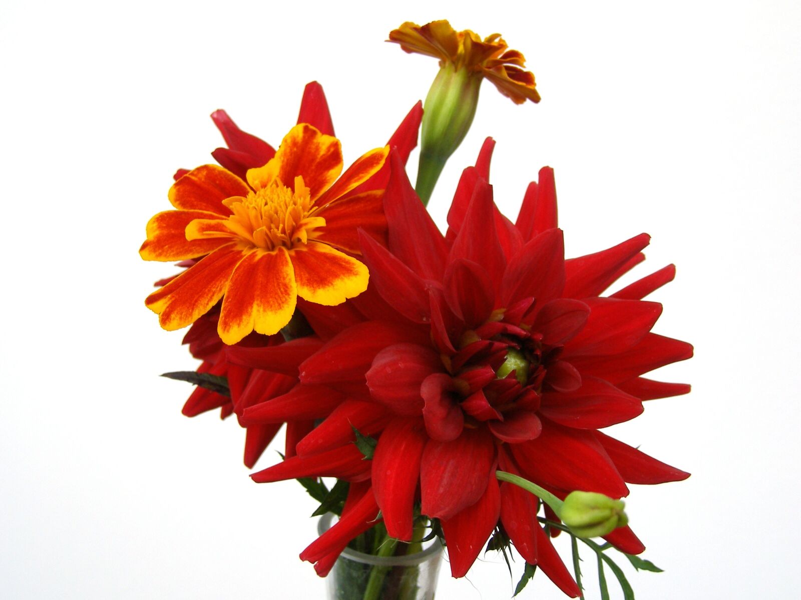 Olympus SP500UZ sample photo. Red flowers, bouquet, as photography