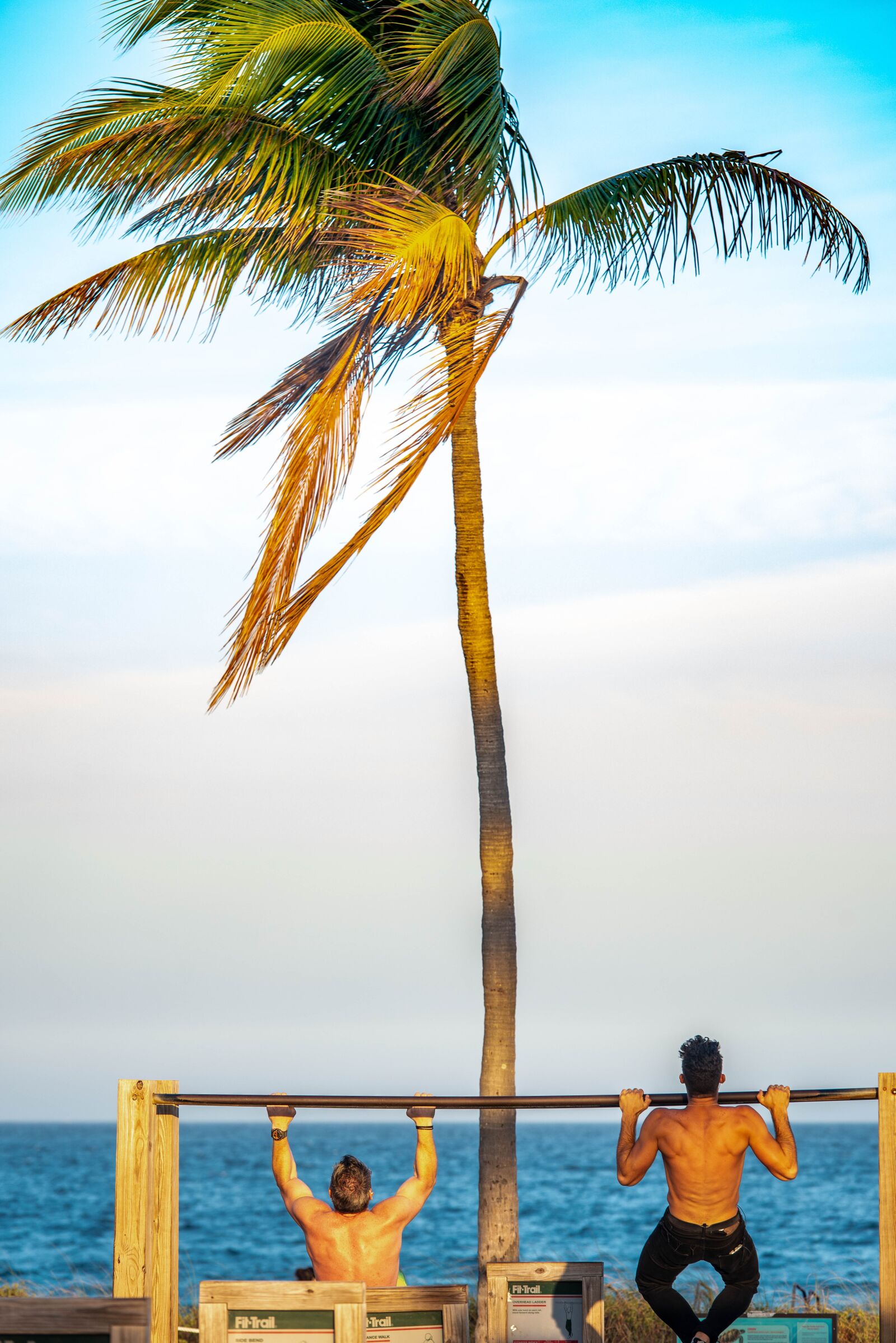 Nikon D800 sample photo. Exercising, workout, fitness photography