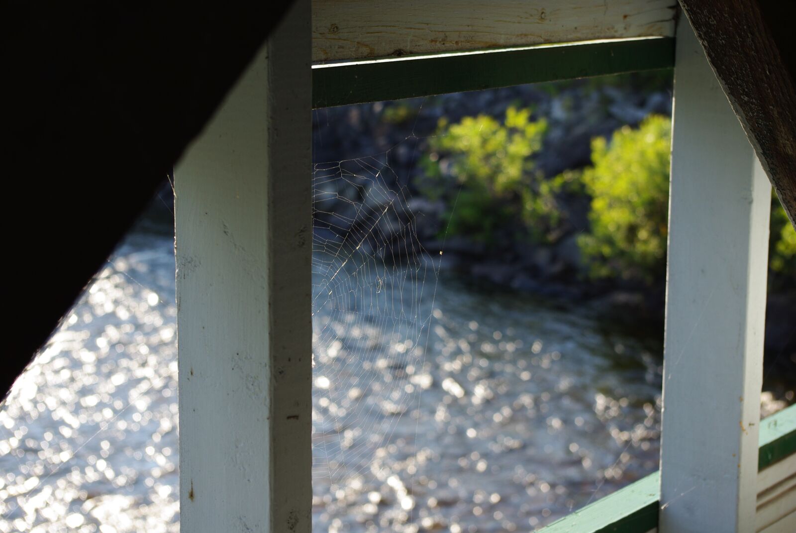 Pentax K200D sample photo. Spider web, bridge, water photography