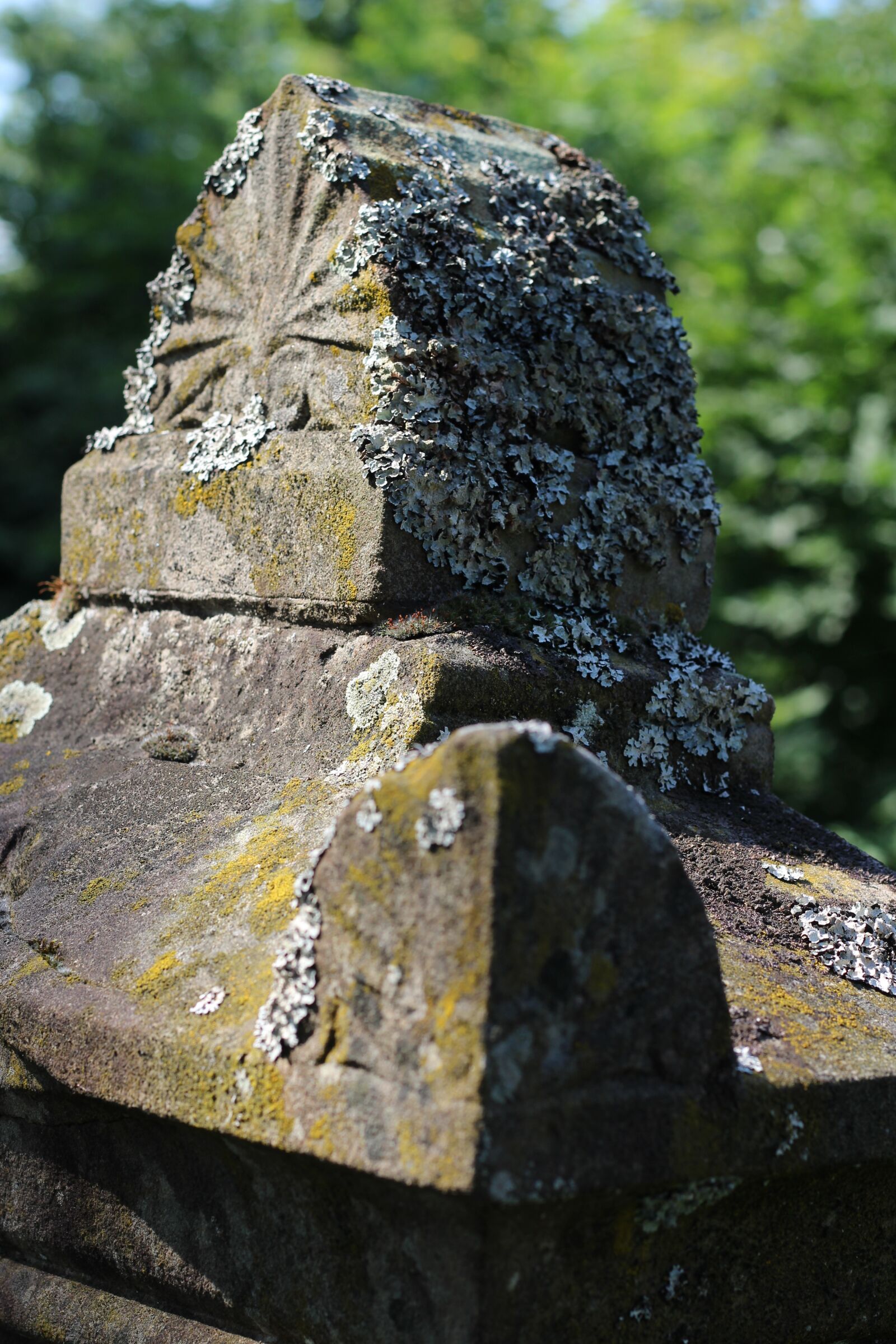 Canon EOS 1200D (EOS Rebel T5 / EOS Kiss X70 / EOS Hi) + Canon EF 50mm F1.8 STM sample photo. Jewish cemetery, tombstone, resting photography