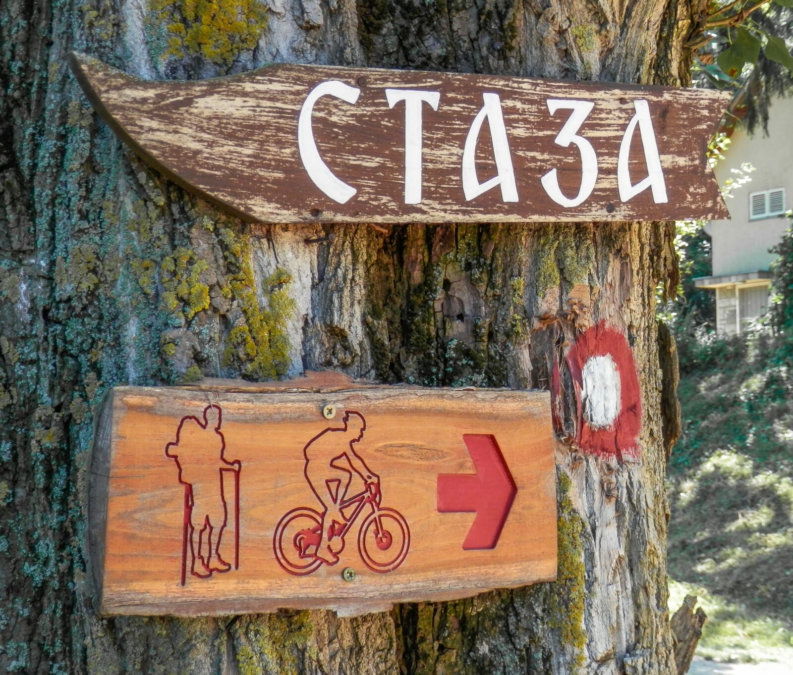 Olympus SZ-14 sample photo. Trail sign, wood, sign photography