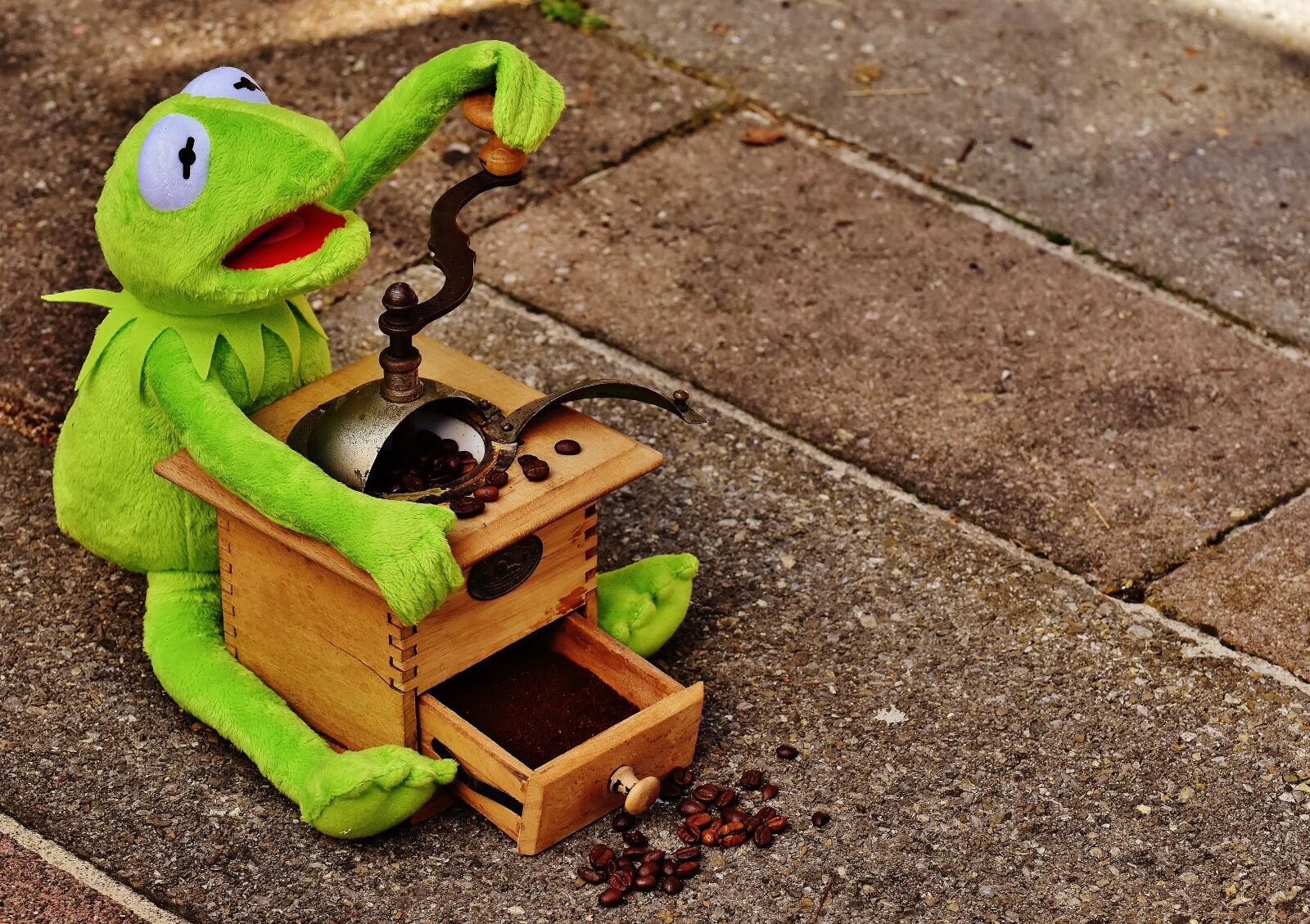 Nikon D7200 sample photo. Kermit, frog, grinder photography