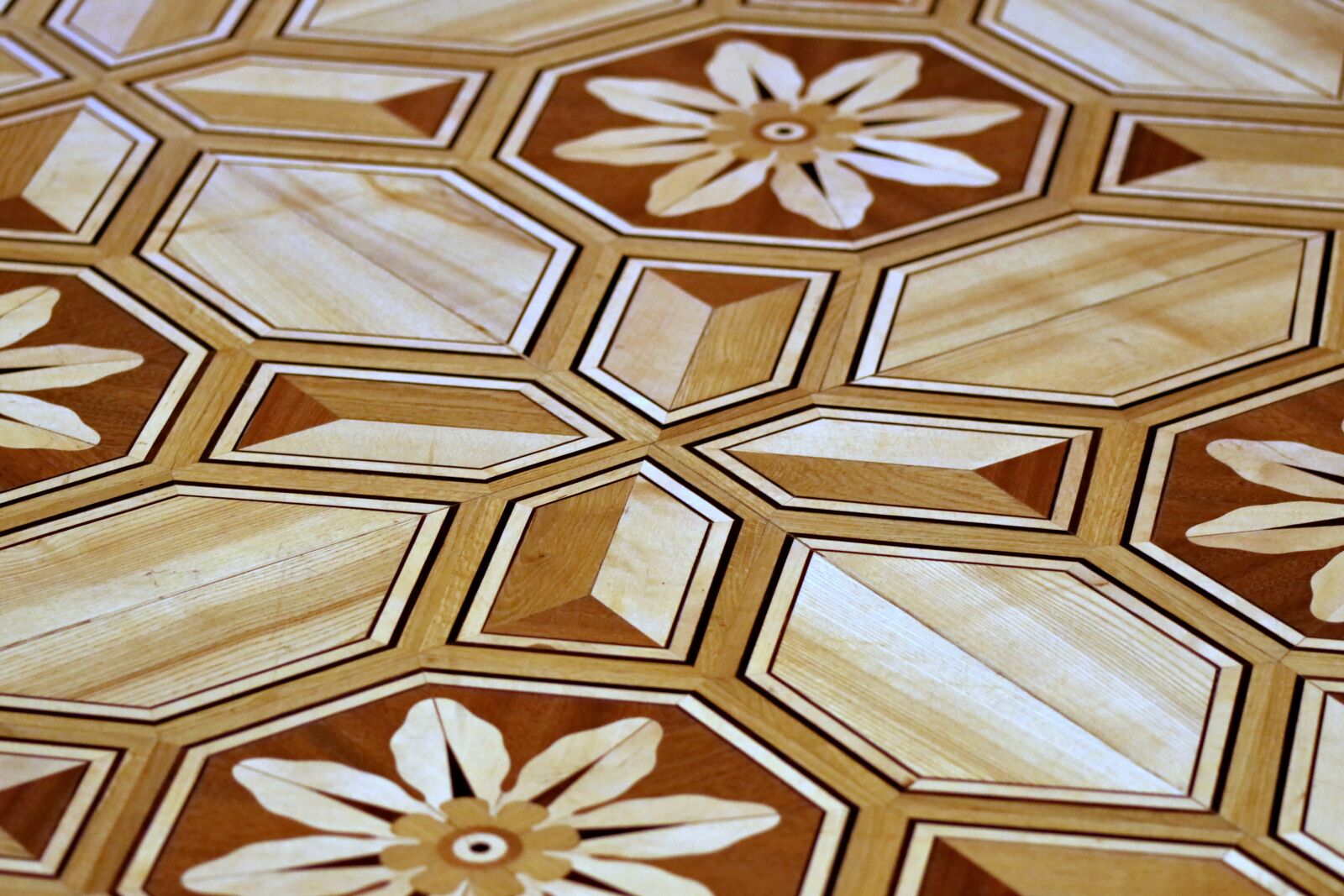 Pentax K-S2 sample photo. Fancy, floor, decorated with photography