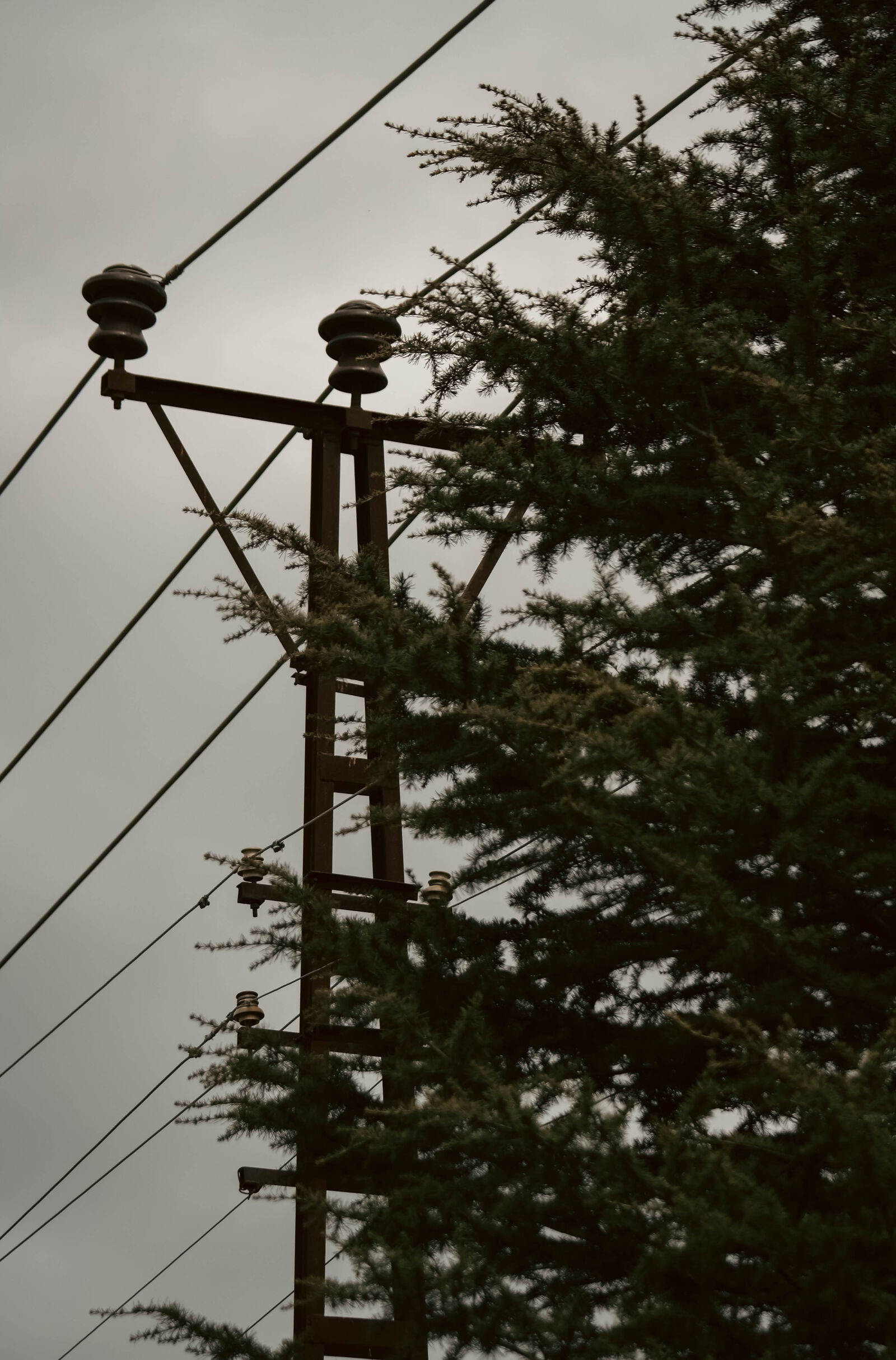 Samsung NX300 sample photo