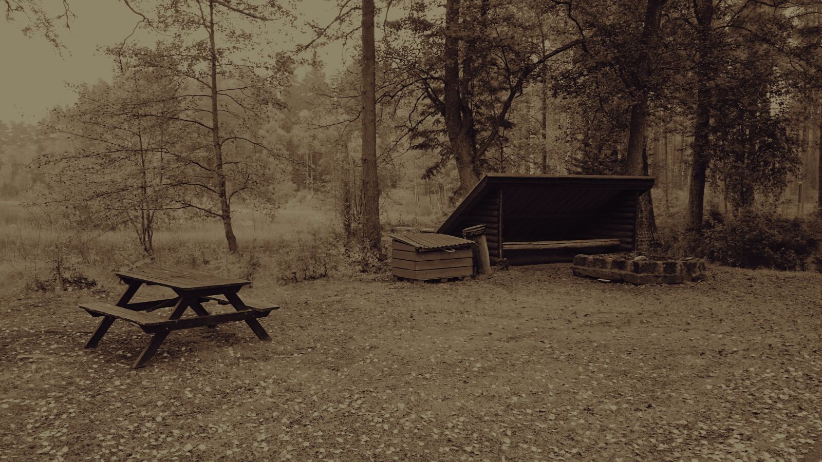 Sony Xperia Z1 sample photo. Lonely, nature, relax photography