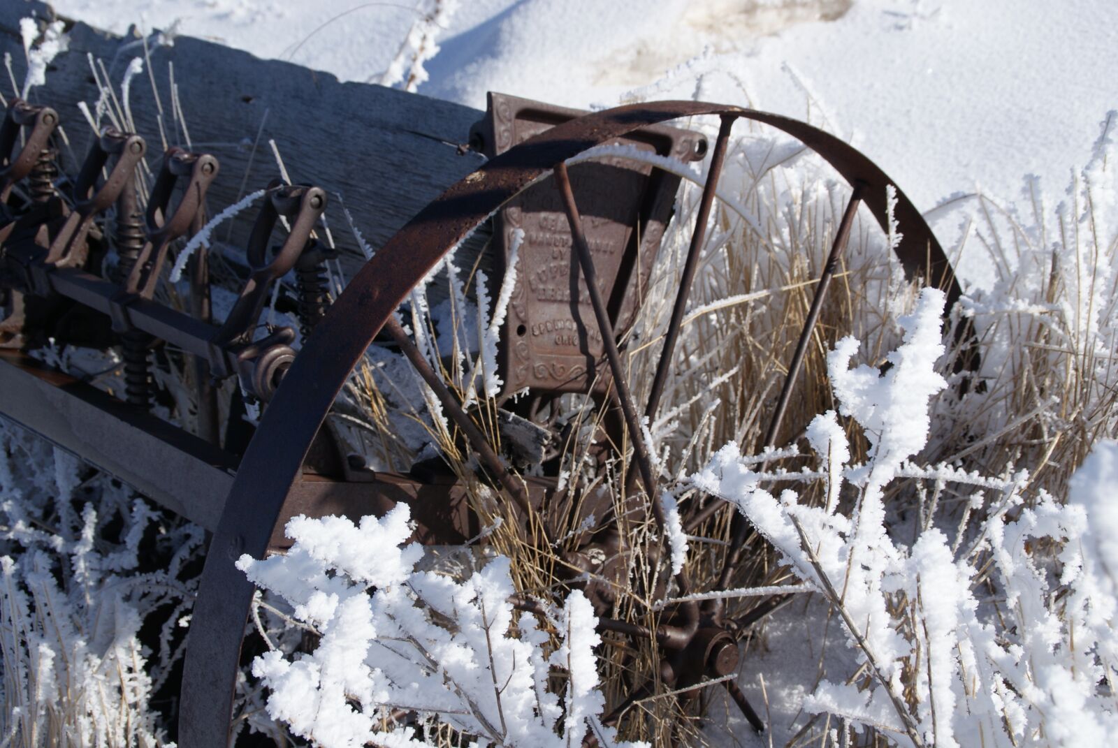 Sony Alpha DSLR-A200 sample photo. Wheel, frost, planter photography