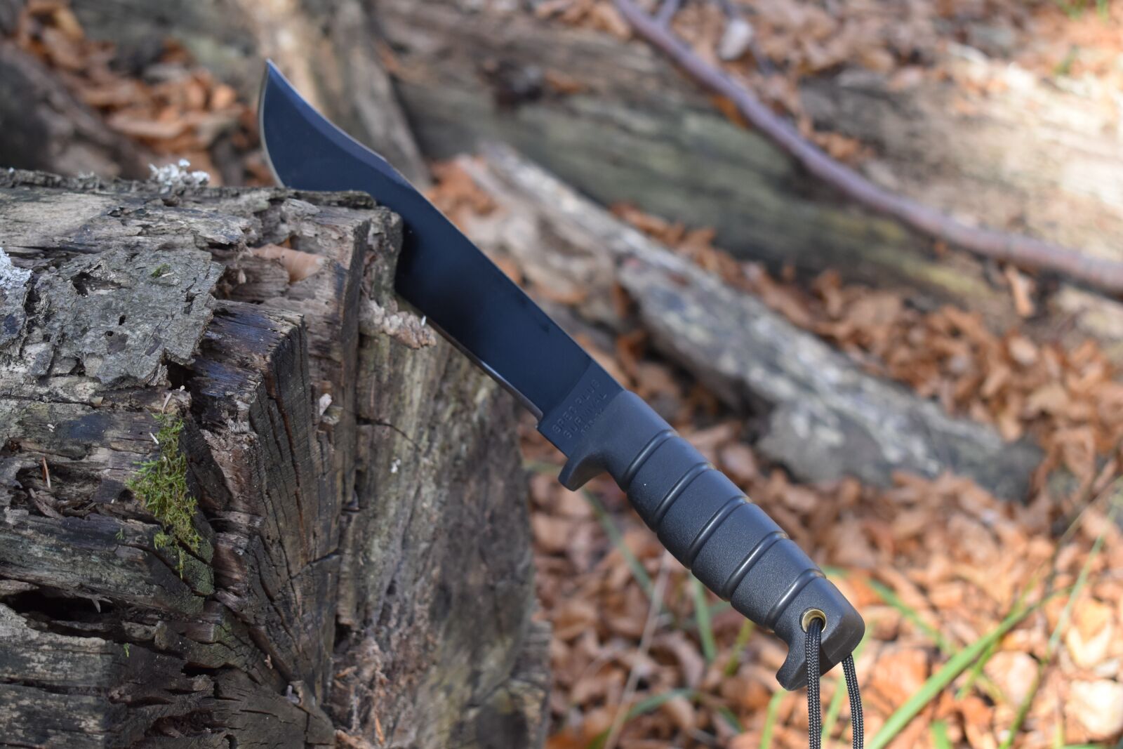 Nikon D3500 sample photo. Prepper, outdoor, adventure photography