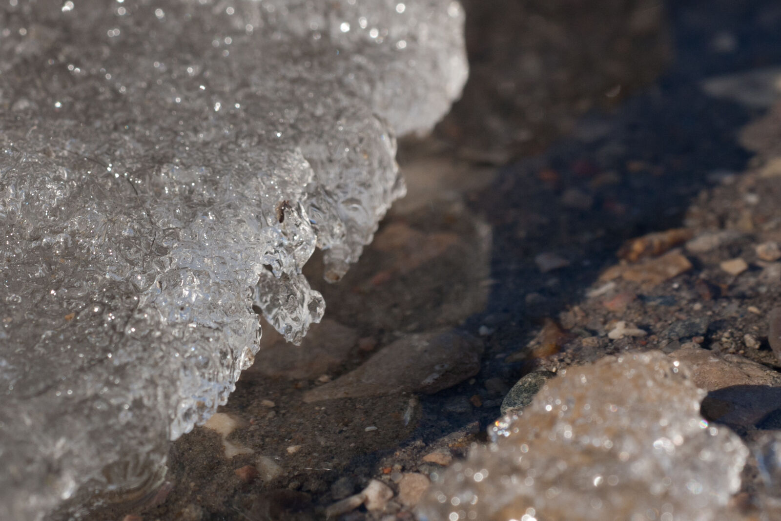 Canon EF 180mm F3.5L Macro USM sample photo