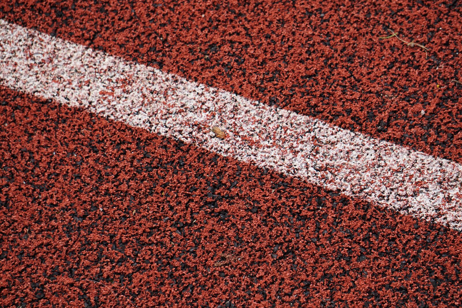 Sony E 55-210mm F4.5-6.3 OSS sample photo. Tartan track, sport, career photography