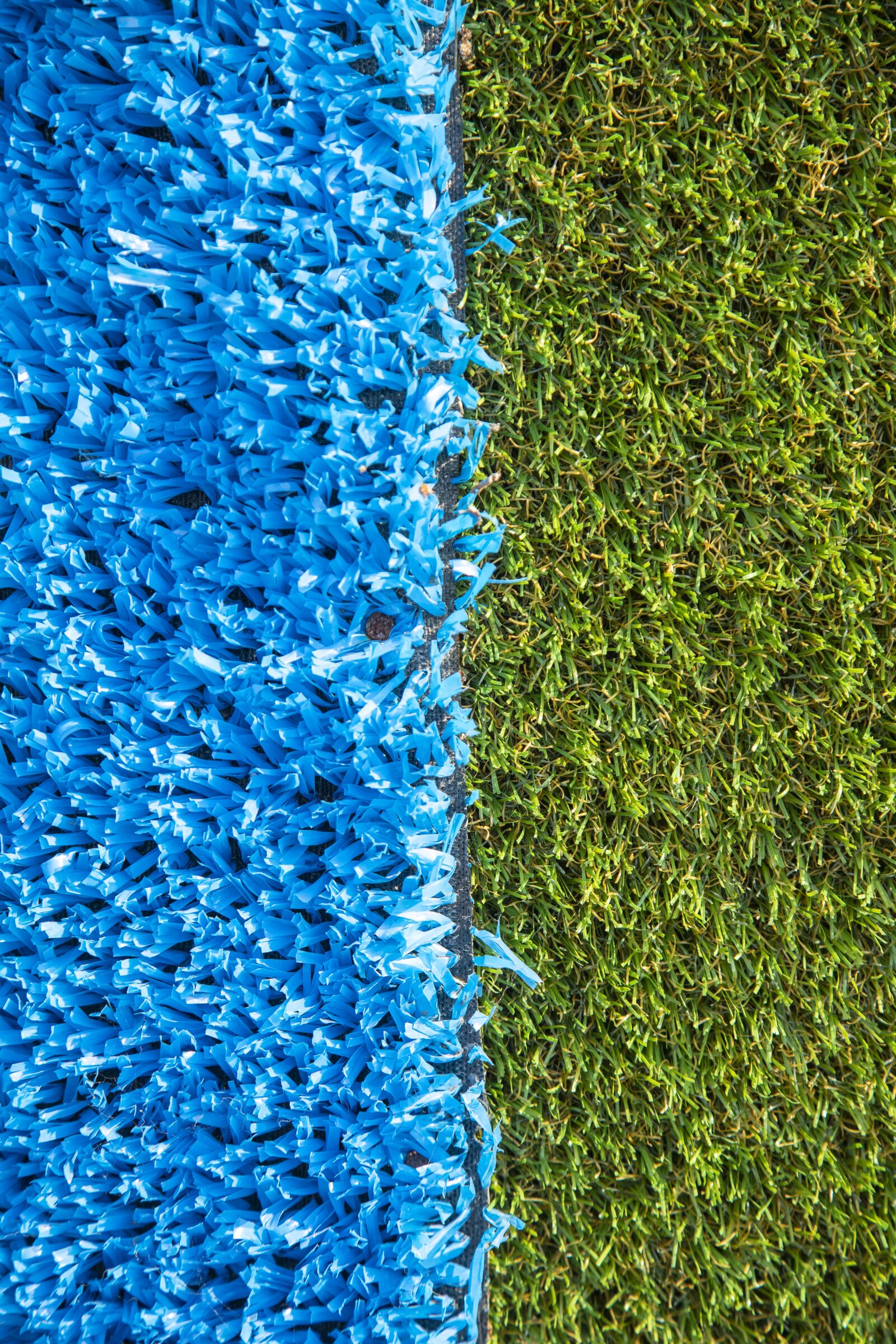 Canon EOS 5D Mark IV + Canon EF 24-105mm F4L IS USM sample photo. Synthetic, abstract, grass photography