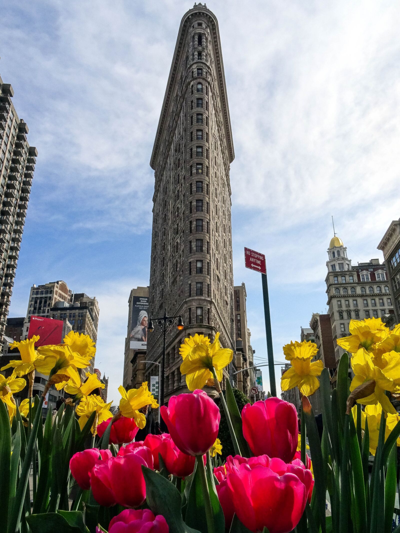 Sony DSC-HX50 sample photo. Flatiron, tulip, city photography