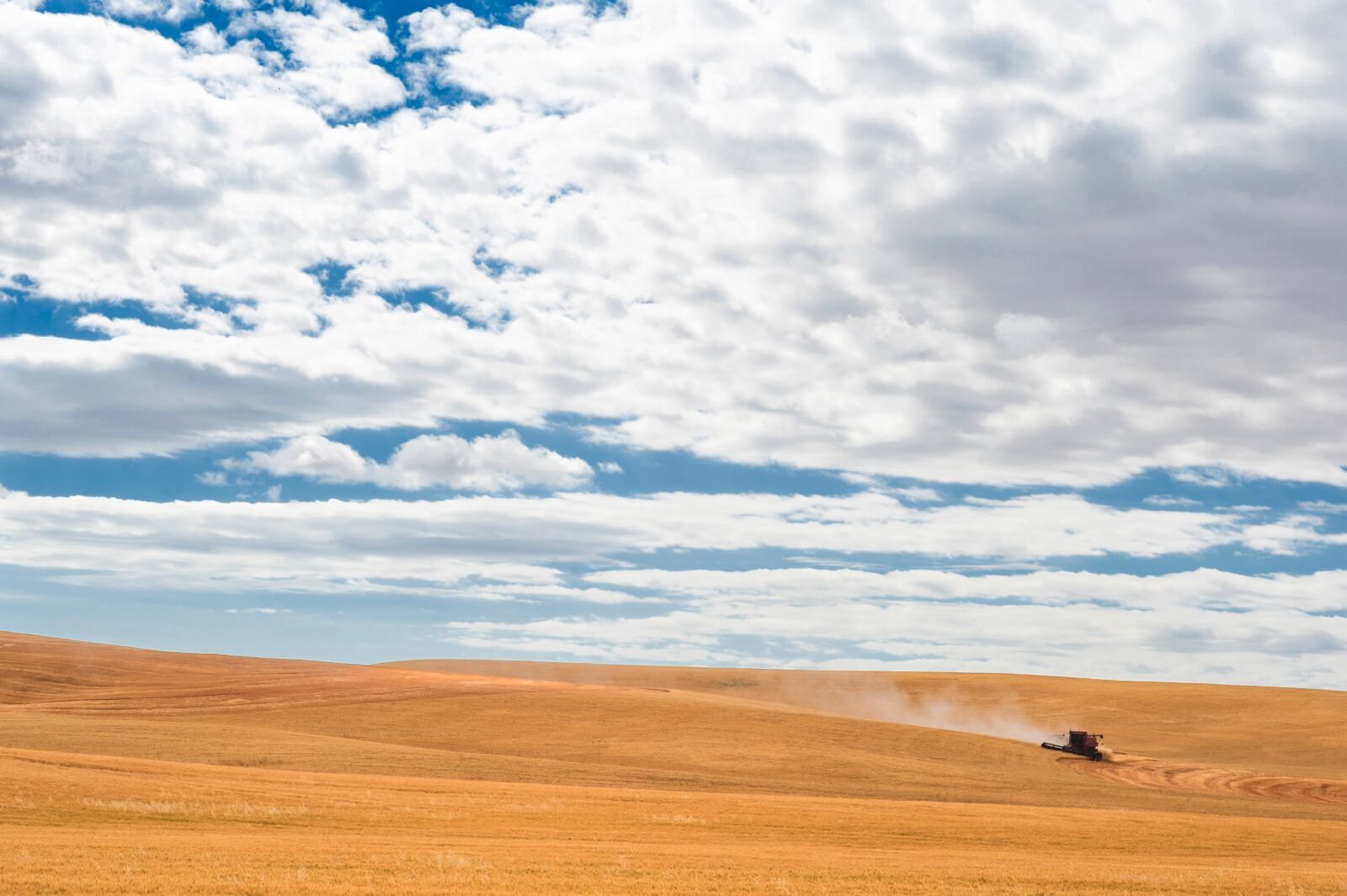 Nikon D700 sample photo. Field, palouse, scenery photography