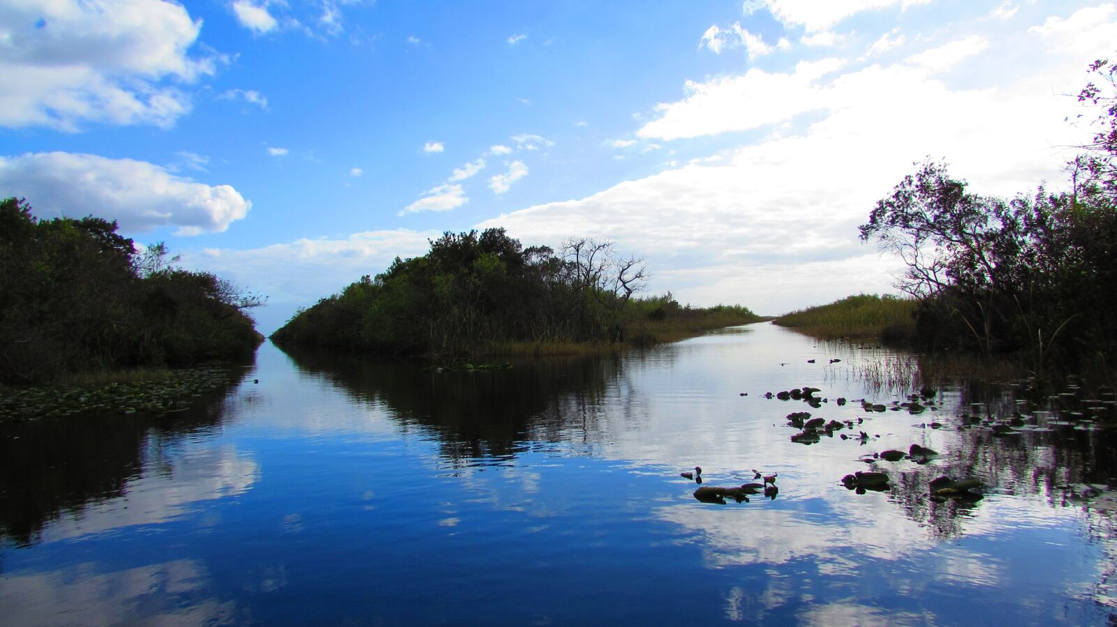 Canon PowerShot SX510 HS sample photo. Everglades, miami, landscape photography