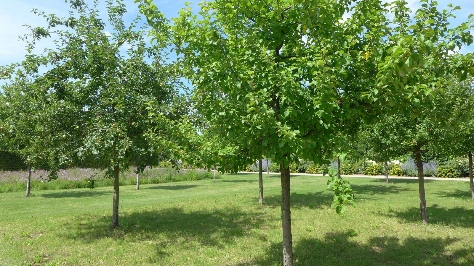 Panasonic Lumix DMC-LX7 sample photo