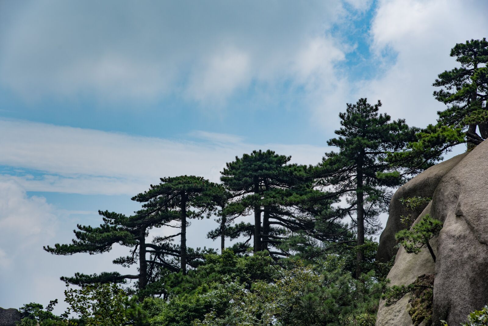 Nikon D750 sample photo. Mountain, tianzhu mountain, cloud photography