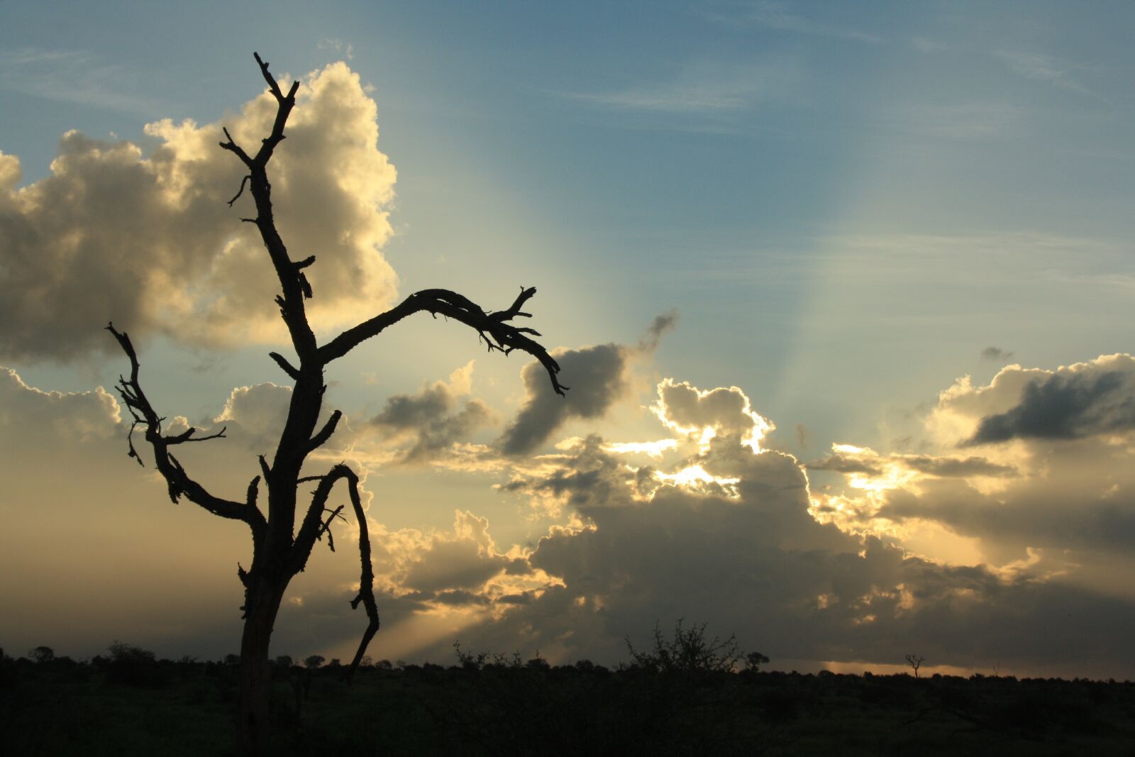 Canon EOS 1000D (EOS Digital Rebel XS / EOS Kiss F) sample photo. African sunset, silver lining photography