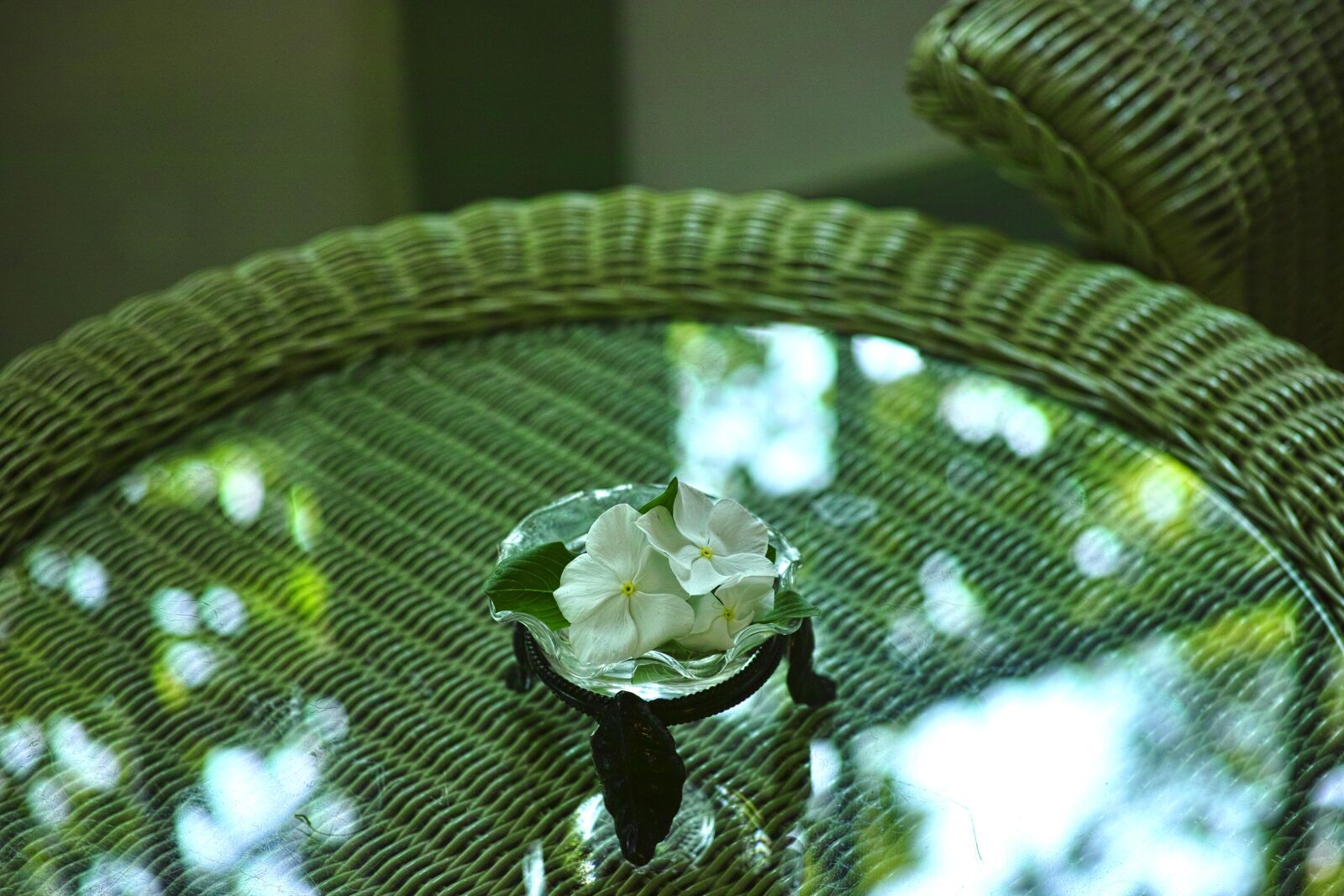 Sigma DP3 Merrill sample photo. Floating flower, flowers, table photography