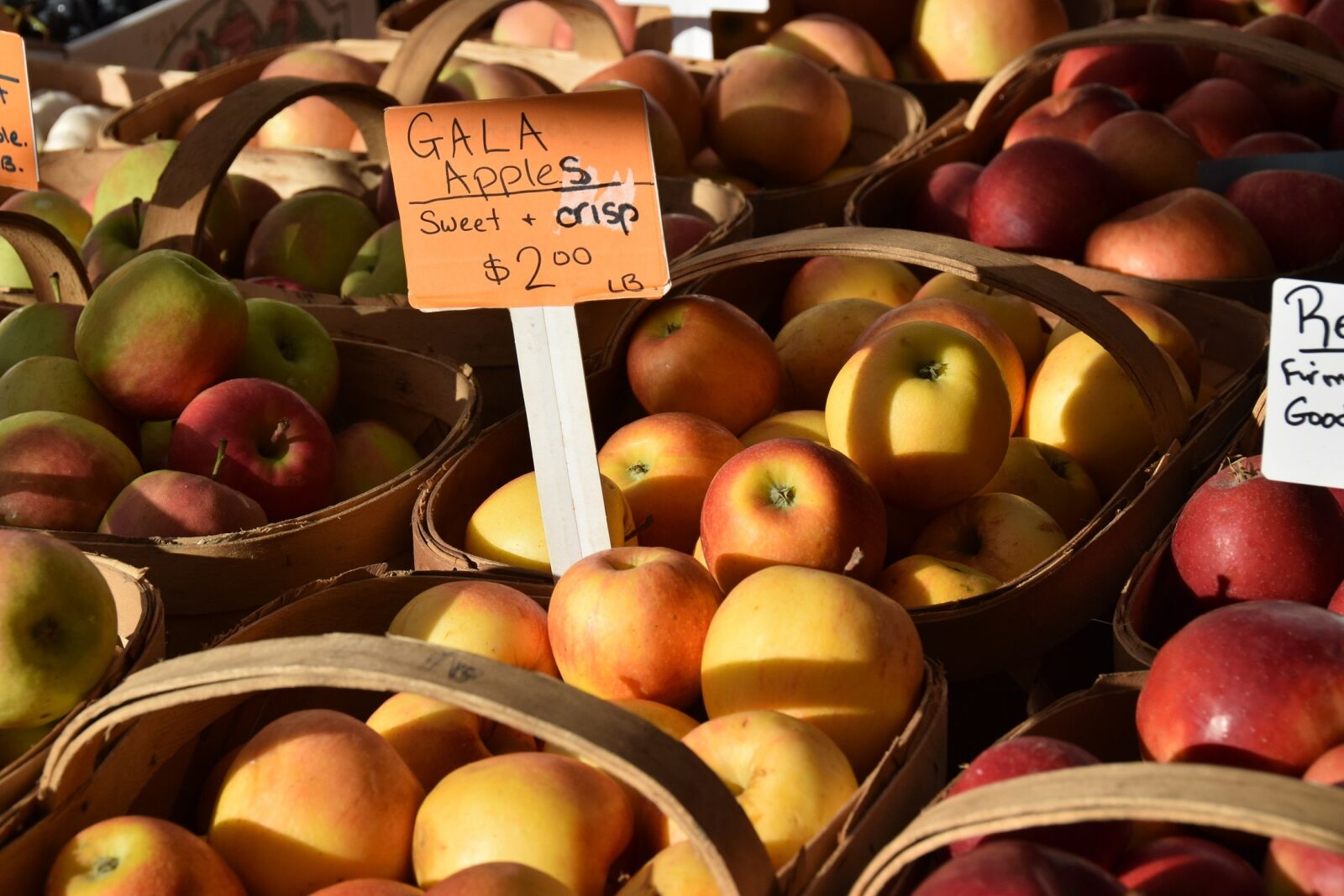 Nikon D5300 sample photo. Apples, fruit, farmers market photography
