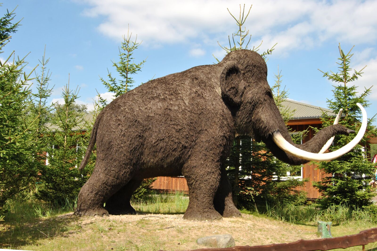 Nikon D3000 sample photo. Sculpture, animal sculpture, wool photography