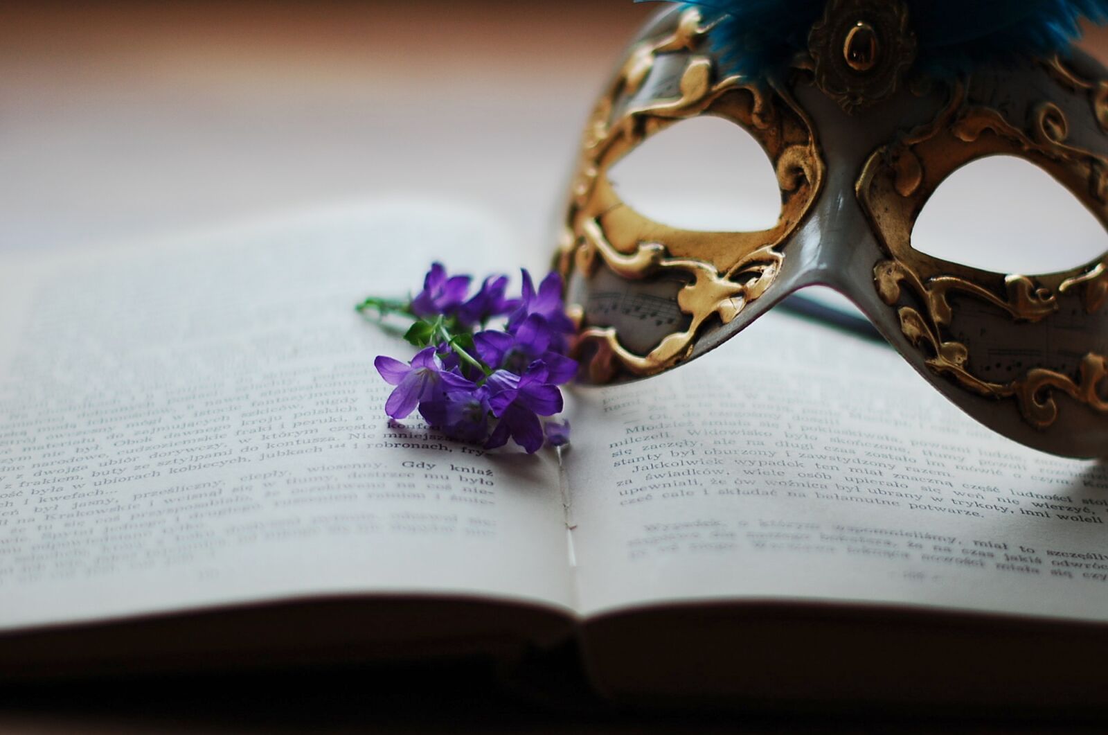 Nikon D40 sample photo. Book, flower, flowers photography