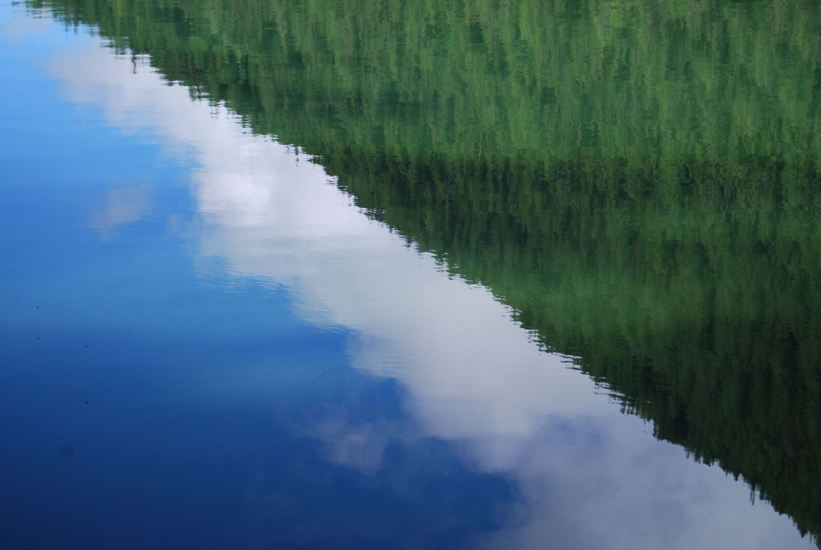 Nikon D40X sample photo. Blue, clouds, forest, green photography